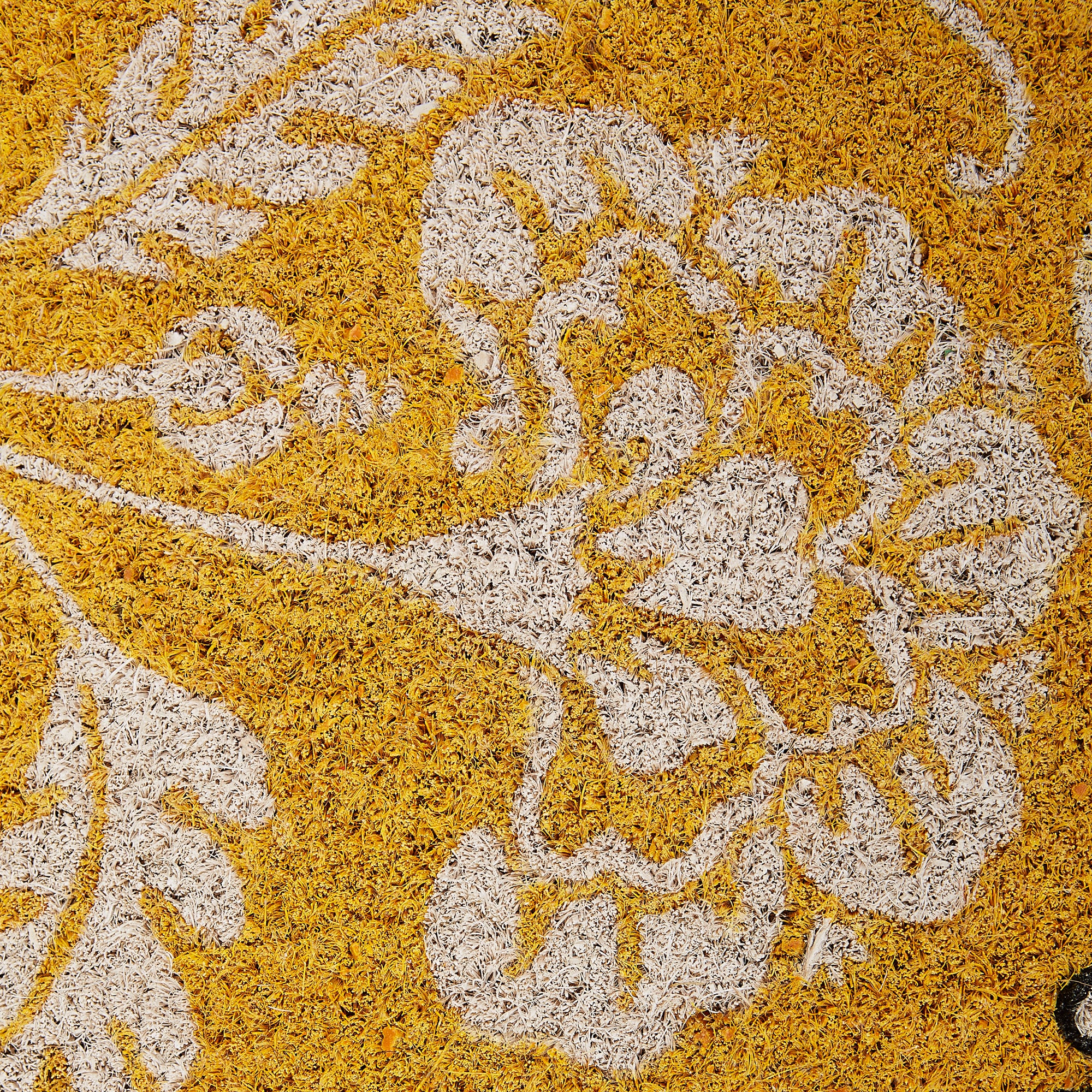 DII Honey I'm Home Doormat, Non-Slip PVC Backing