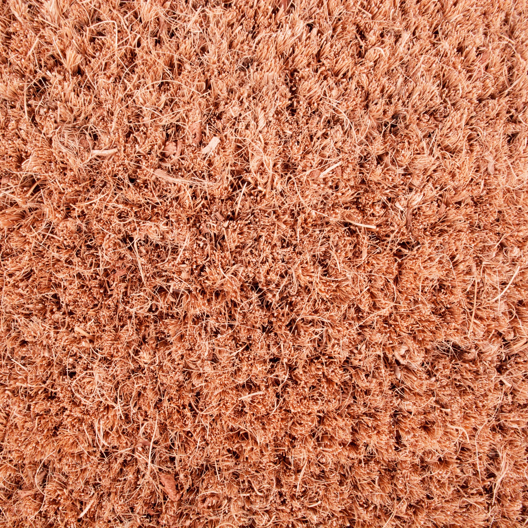 DII Aloe There Doormat, Non-Slip PVC Backing