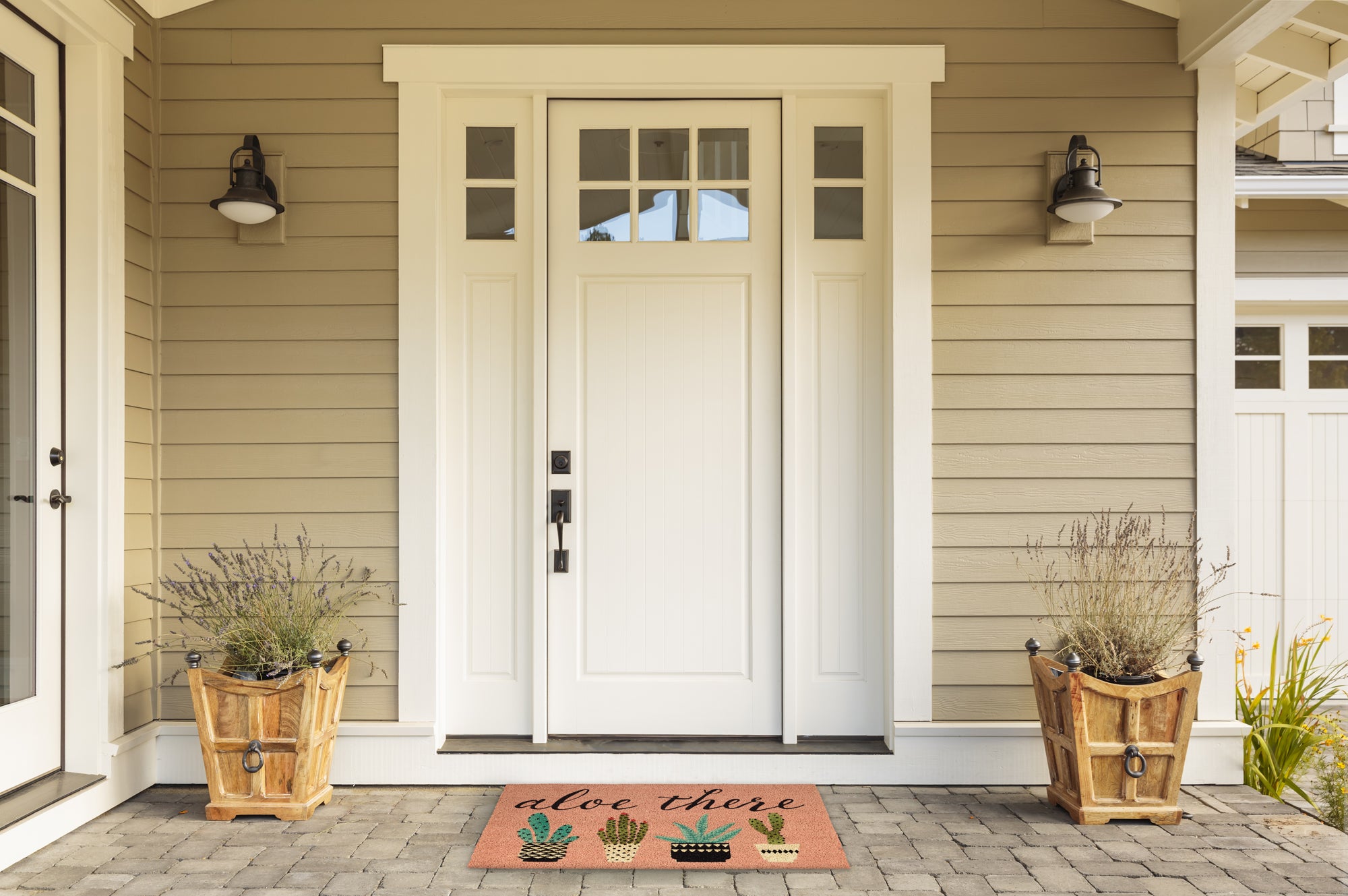 DII Aloe There Doormat, Non-Slip PVC Backing