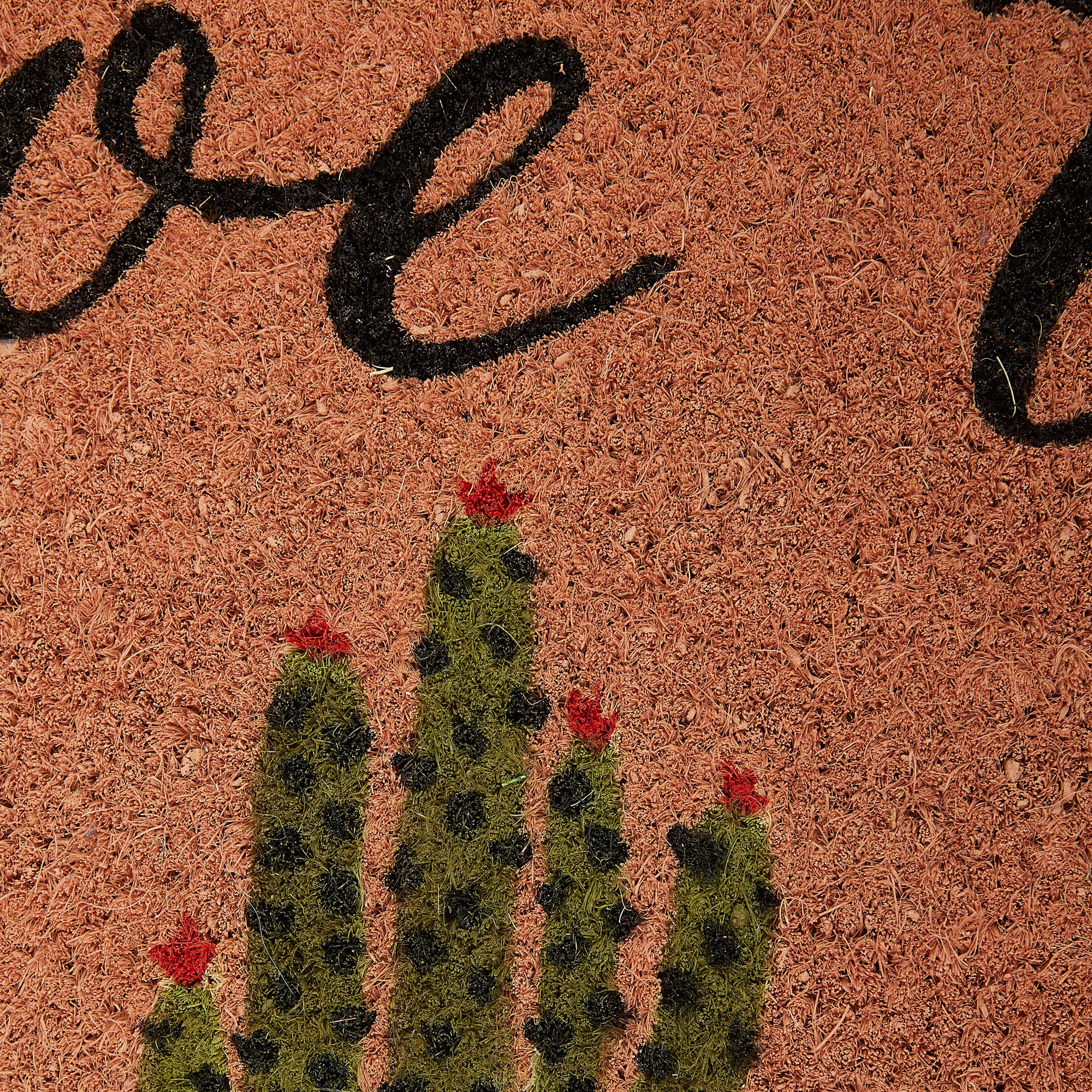 DII Aloe There Doormat, Non-Slip PVC Backing