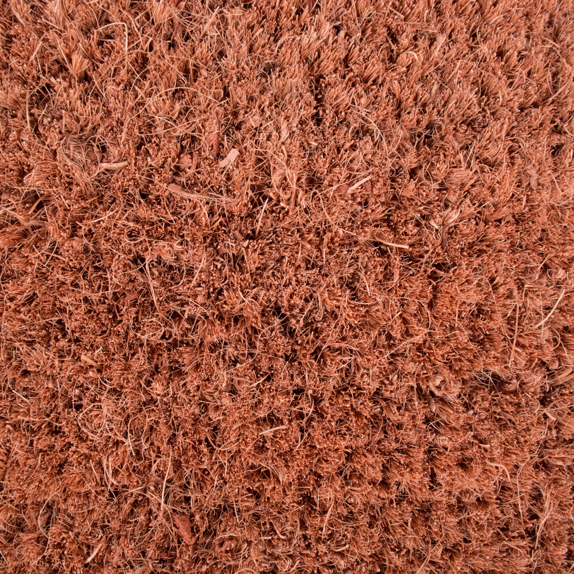 DII Beach House Doormat, Non-Slip PVC Backing