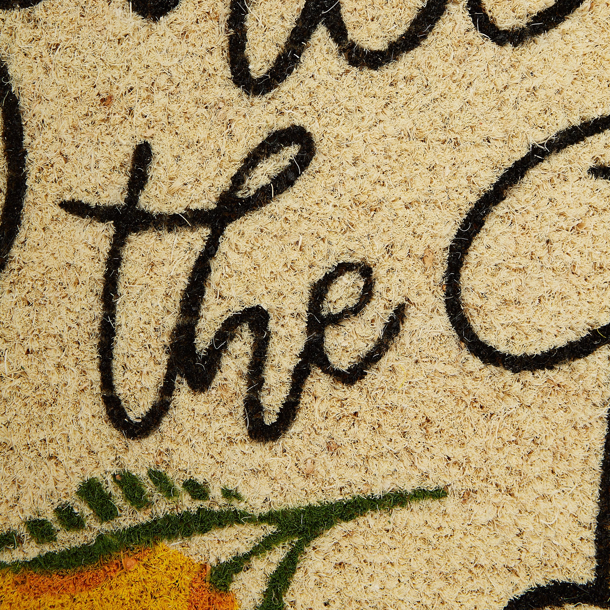 DII Squeeze the Day Doormat, Non-Slip PVC Backing