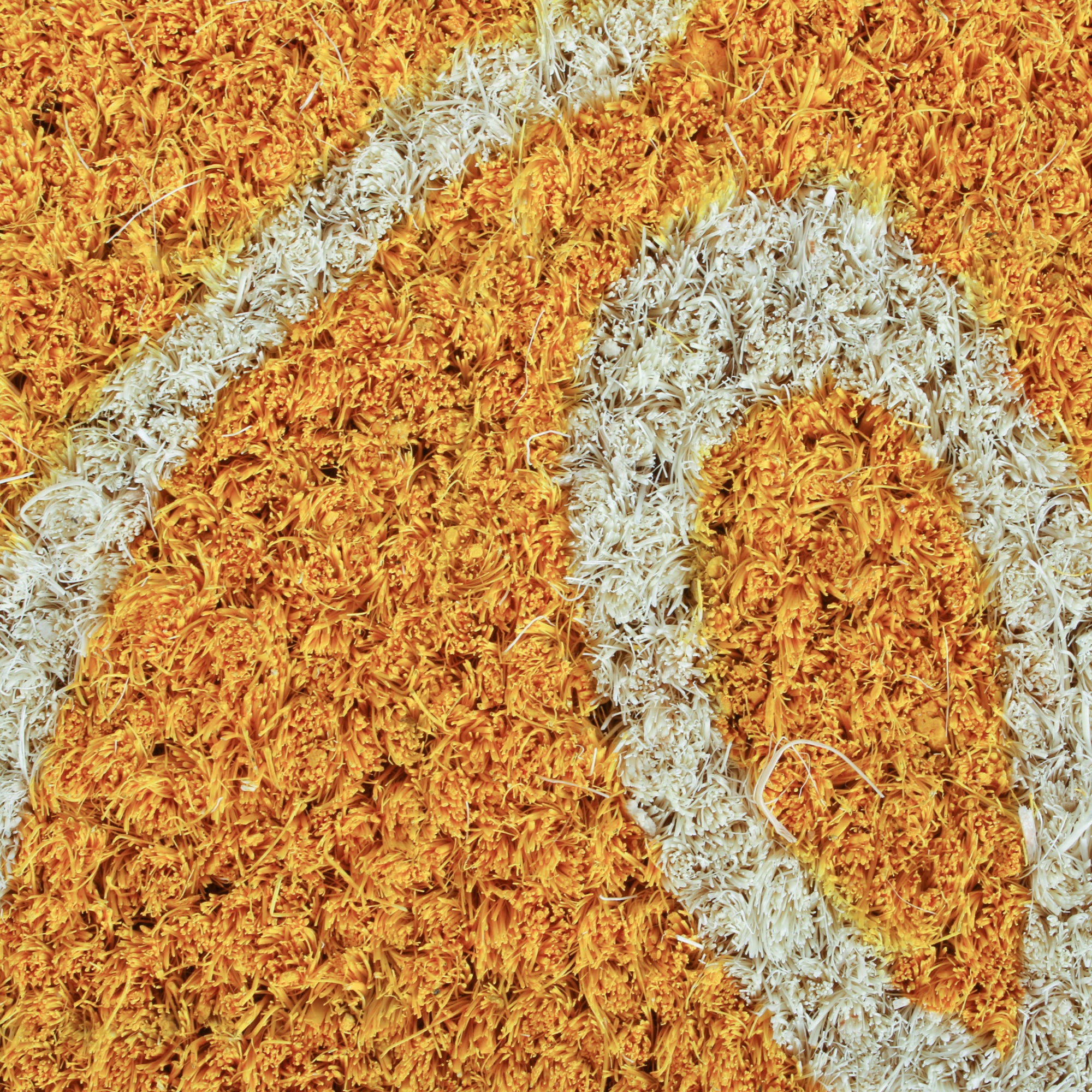 DII Hello Coir PVC-Backed Non-Slip Doormat