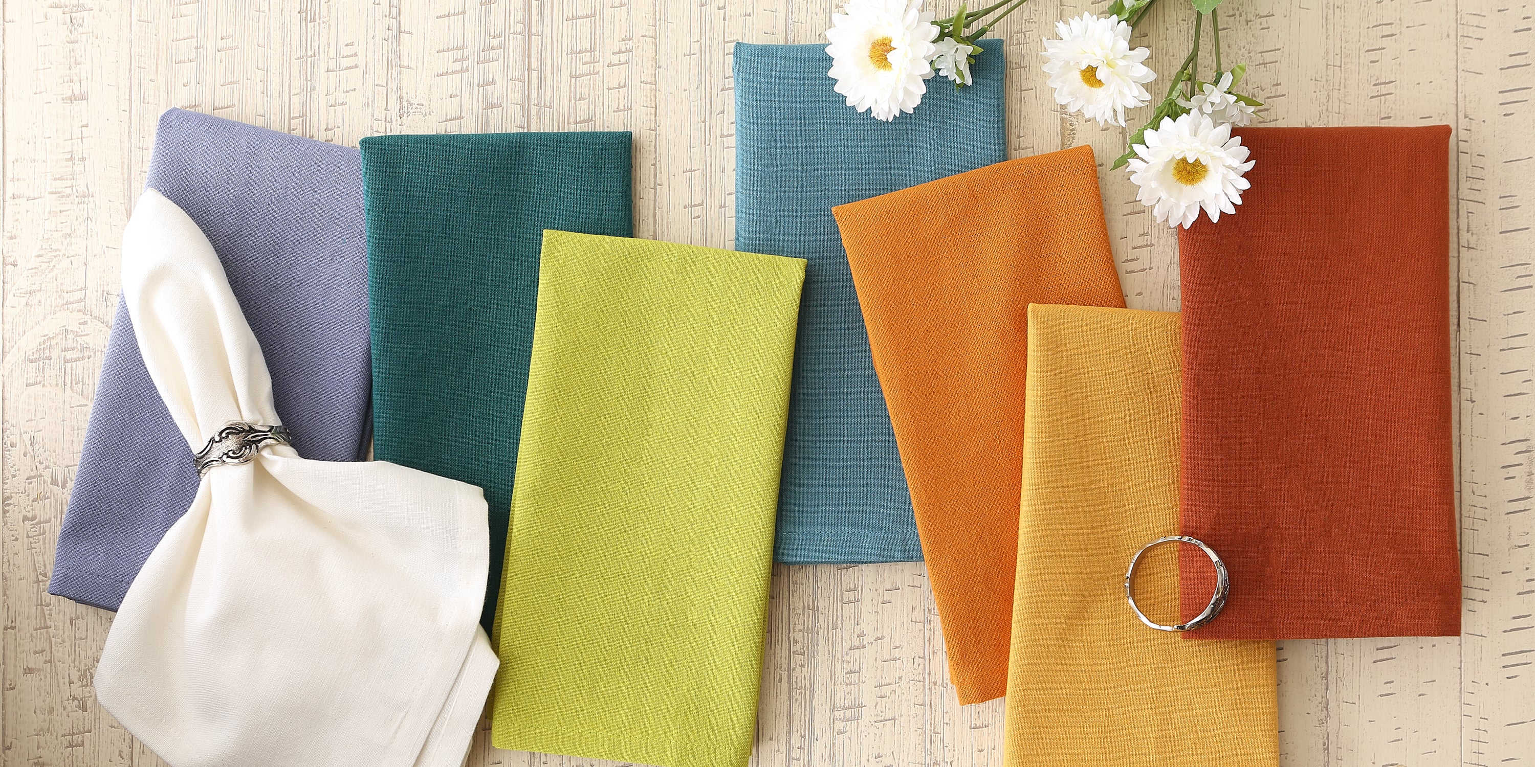 DII Solid Cotton Dinner Napkin 6-Piece Set