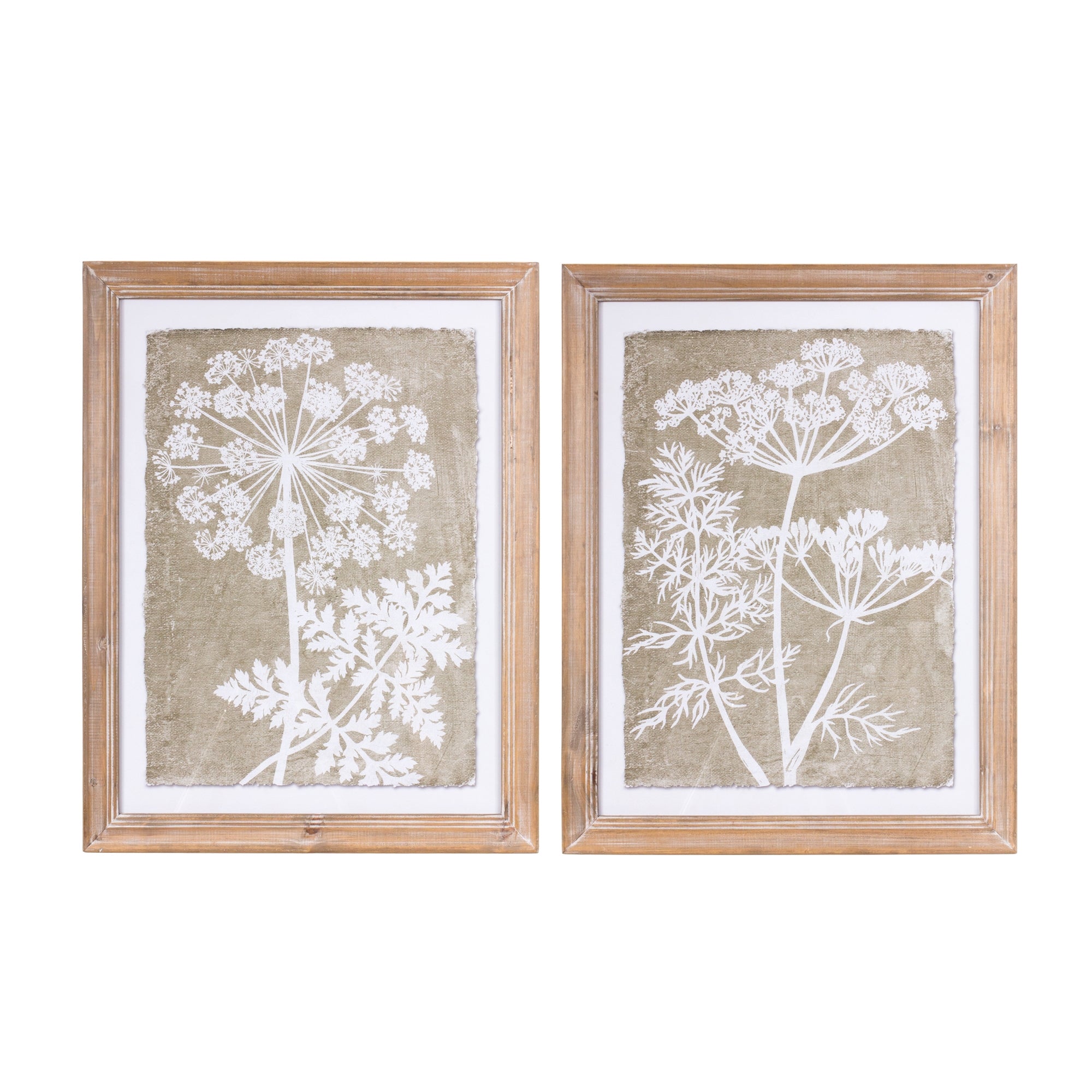 Framed-Queen-Anne's-Lace-and-Fern-Wall-Art-(Set-of-2)-Wall-Art