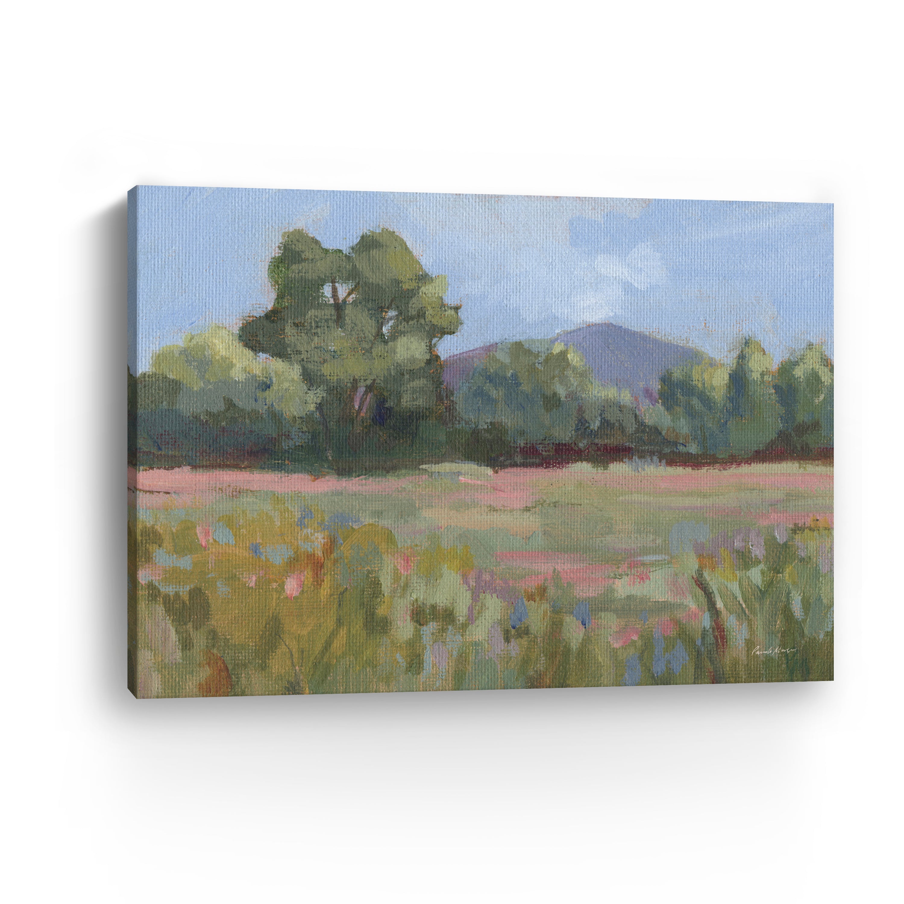 Pink and Green Meadow Canvas Giclee