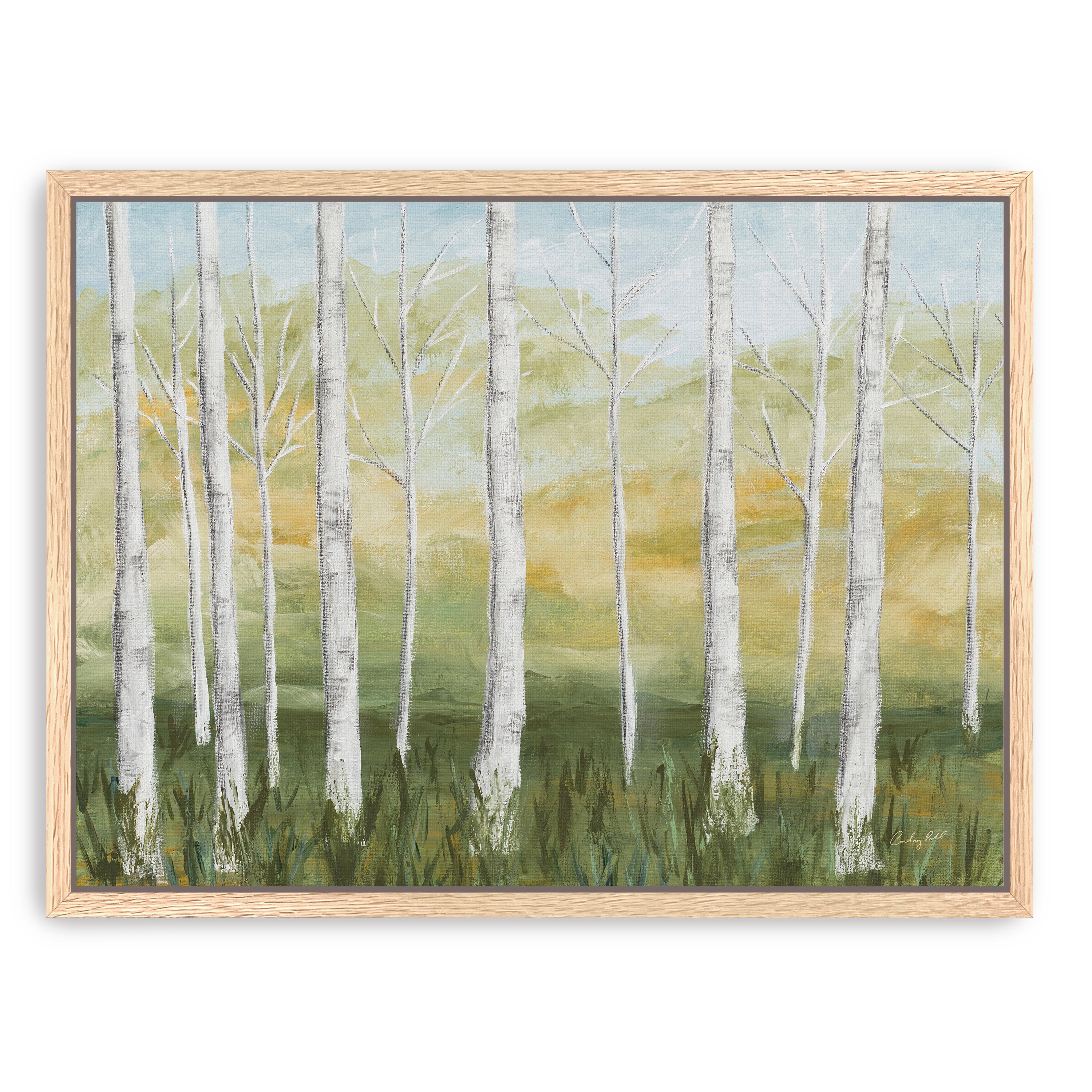 Birch Forest Canvas Giclee