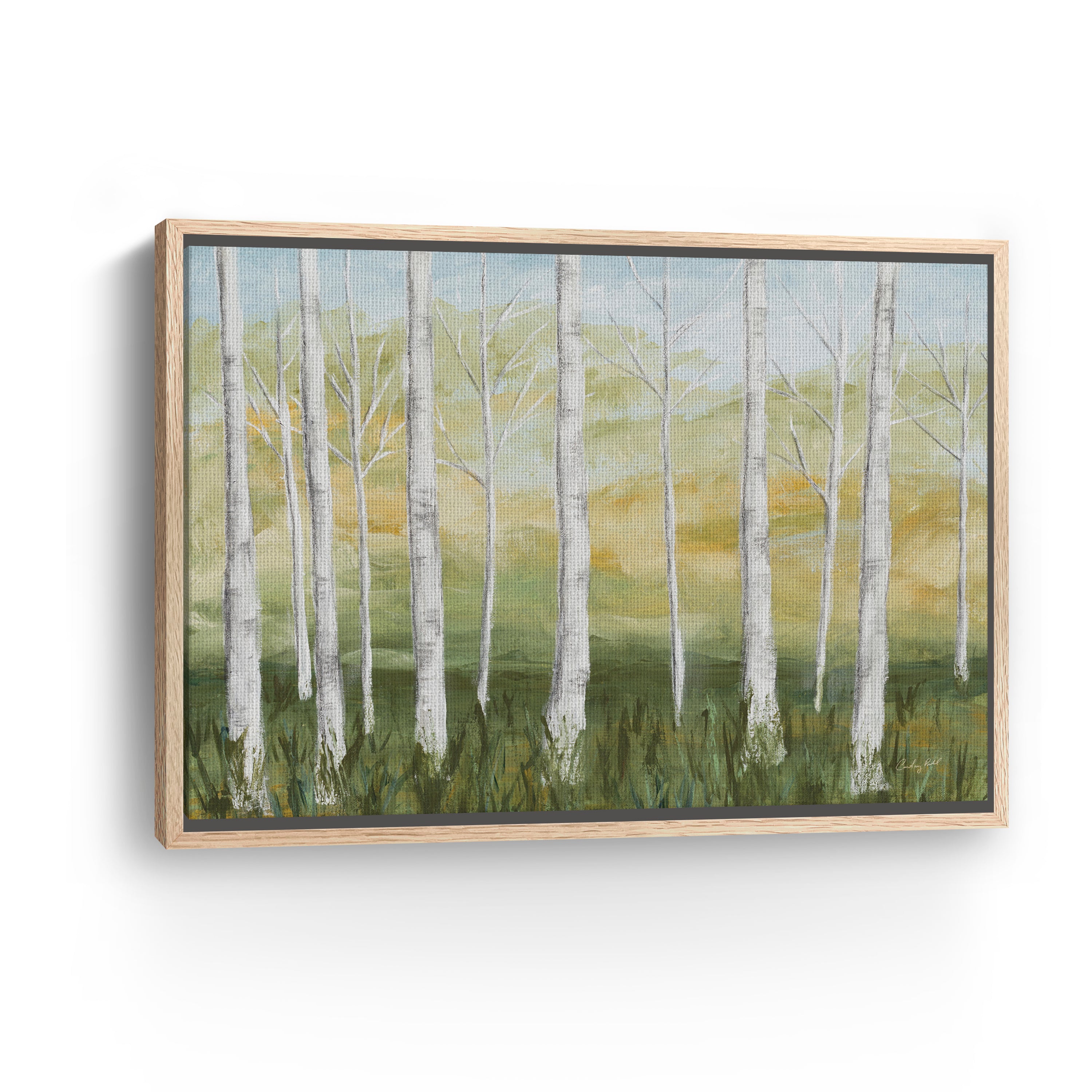 Birch Forest Canvas Giclee