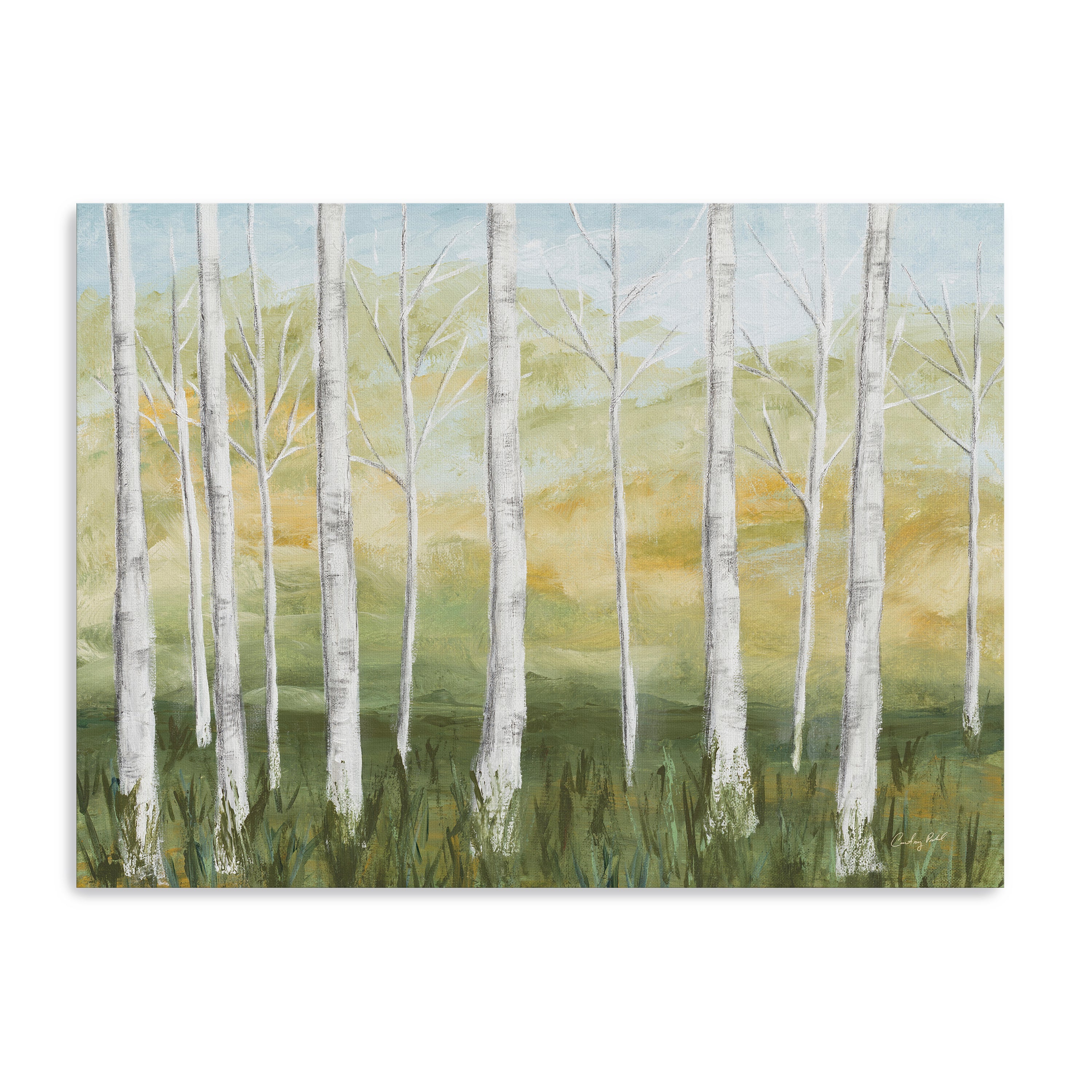 Birch Forest Canvas Giclee
