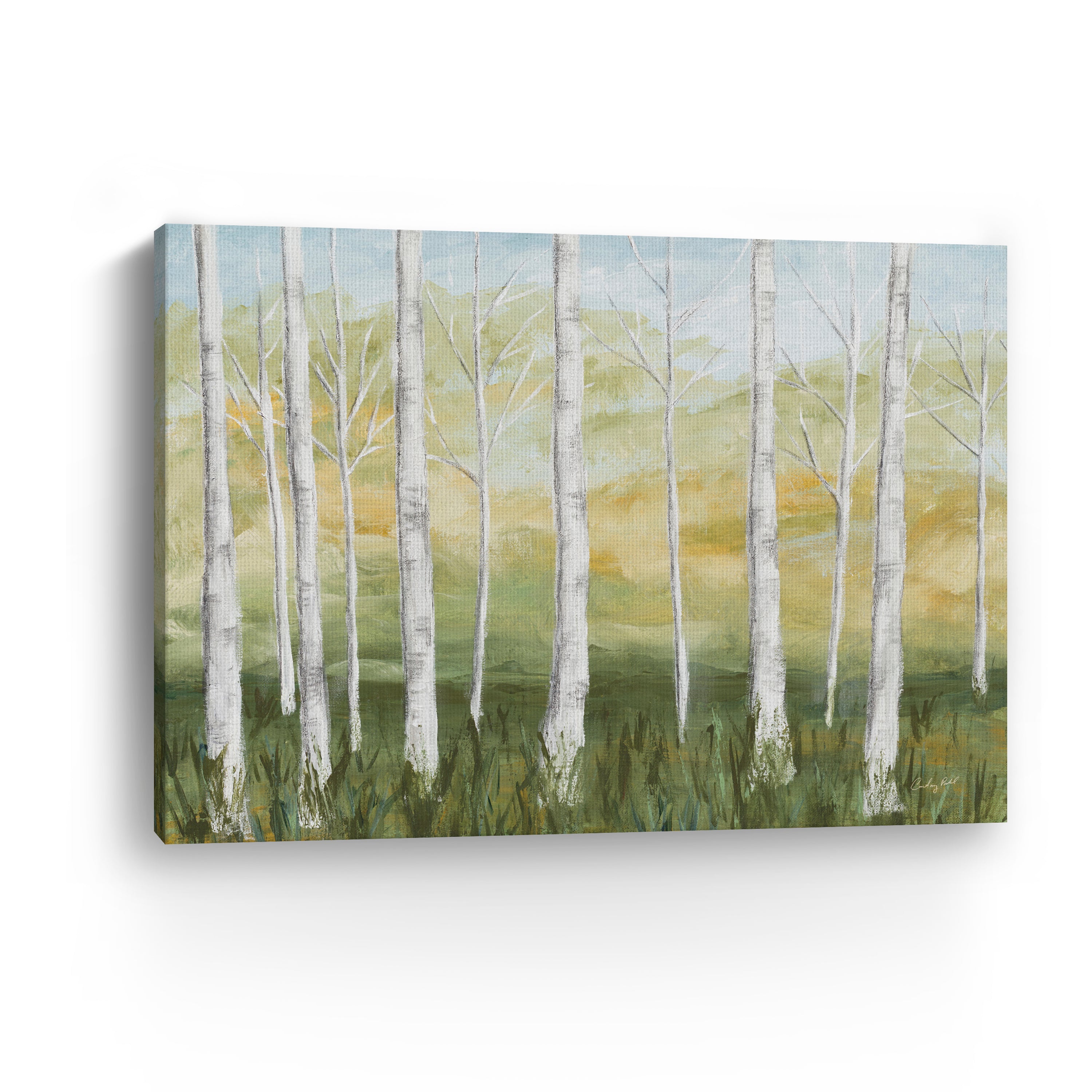 Birch Forest Canvas Giclee