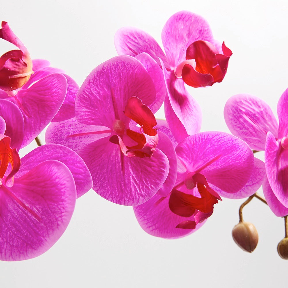 Faux Pink Double Stem Orchid close up of the orchid faux blooms with the texture and veining to look realistic