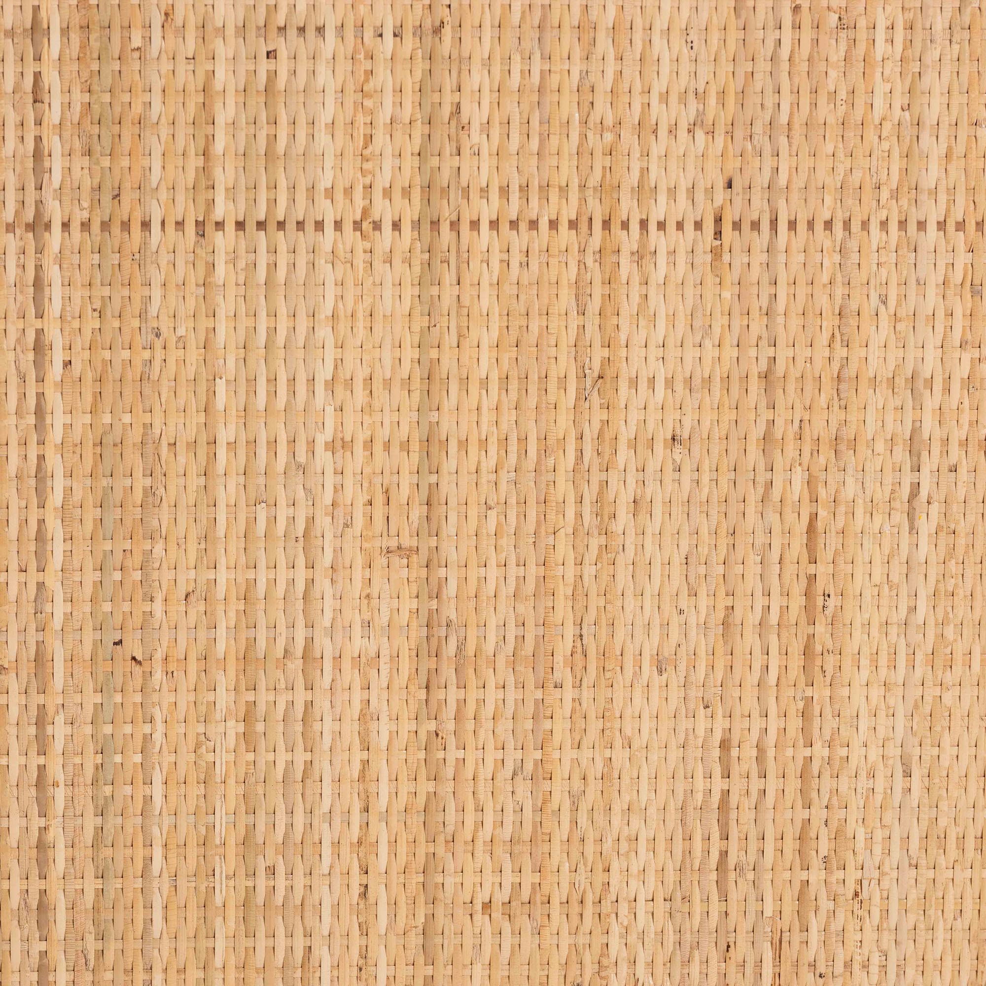 Fleur Rattan Storage Cabinet