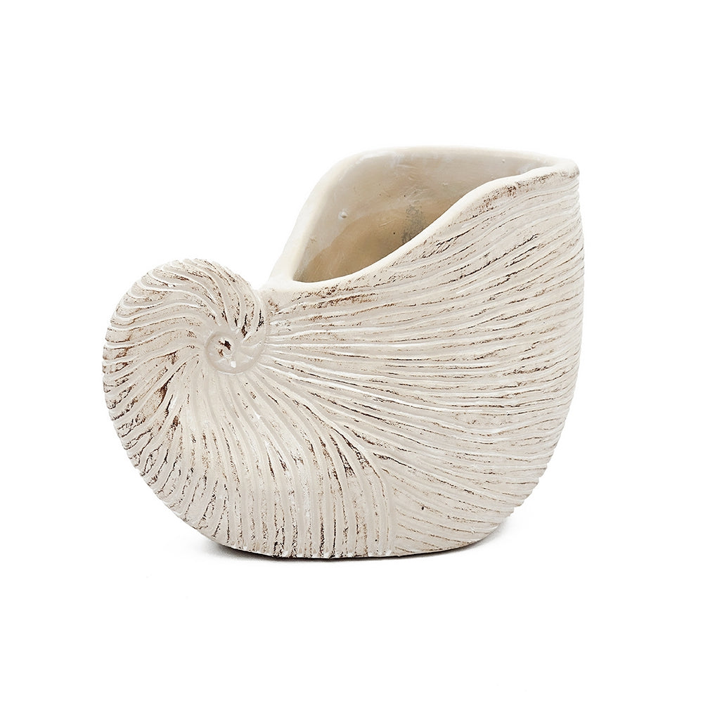 Nautilus Shell Planter with Textured Finish