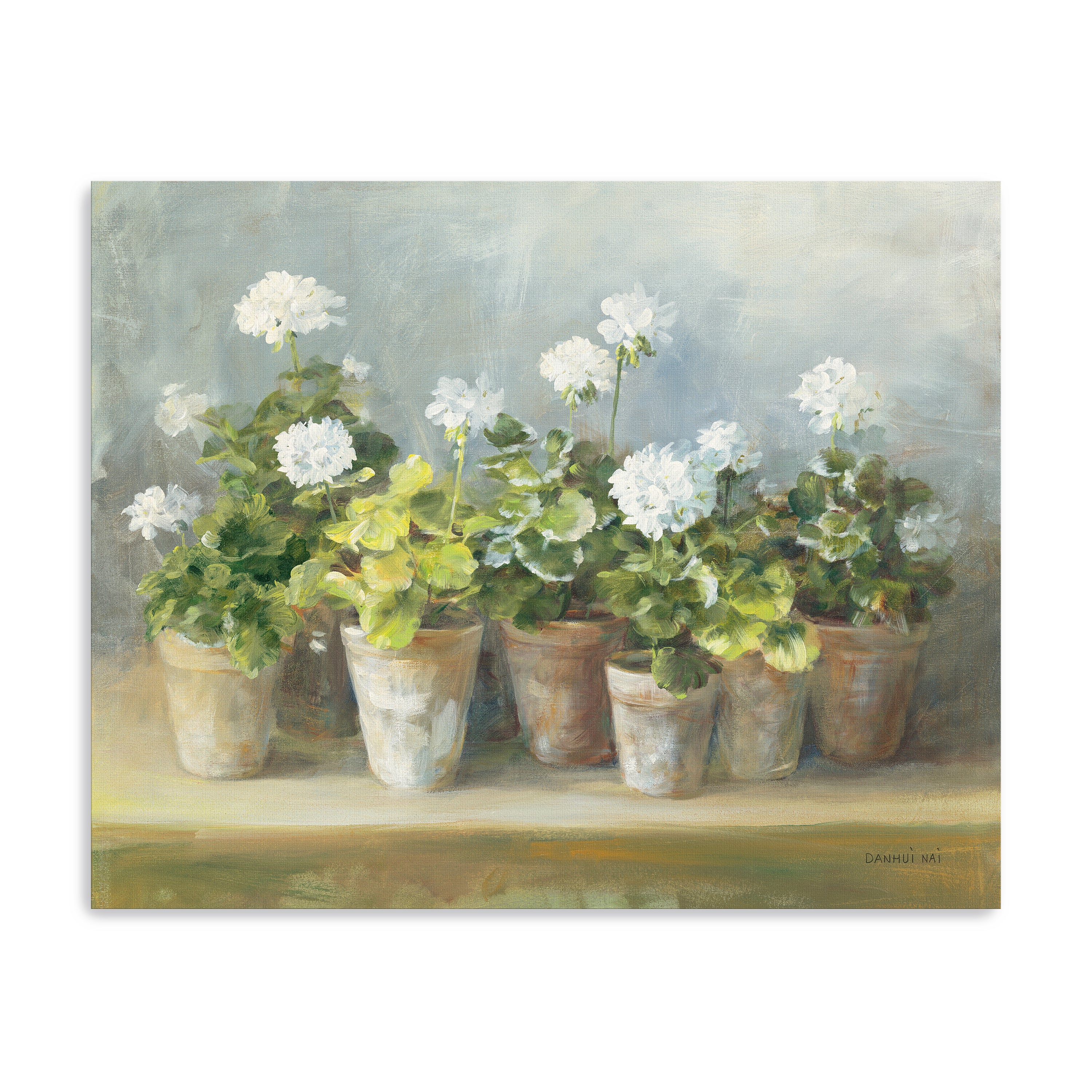 White Geraniums Canvas Giclee