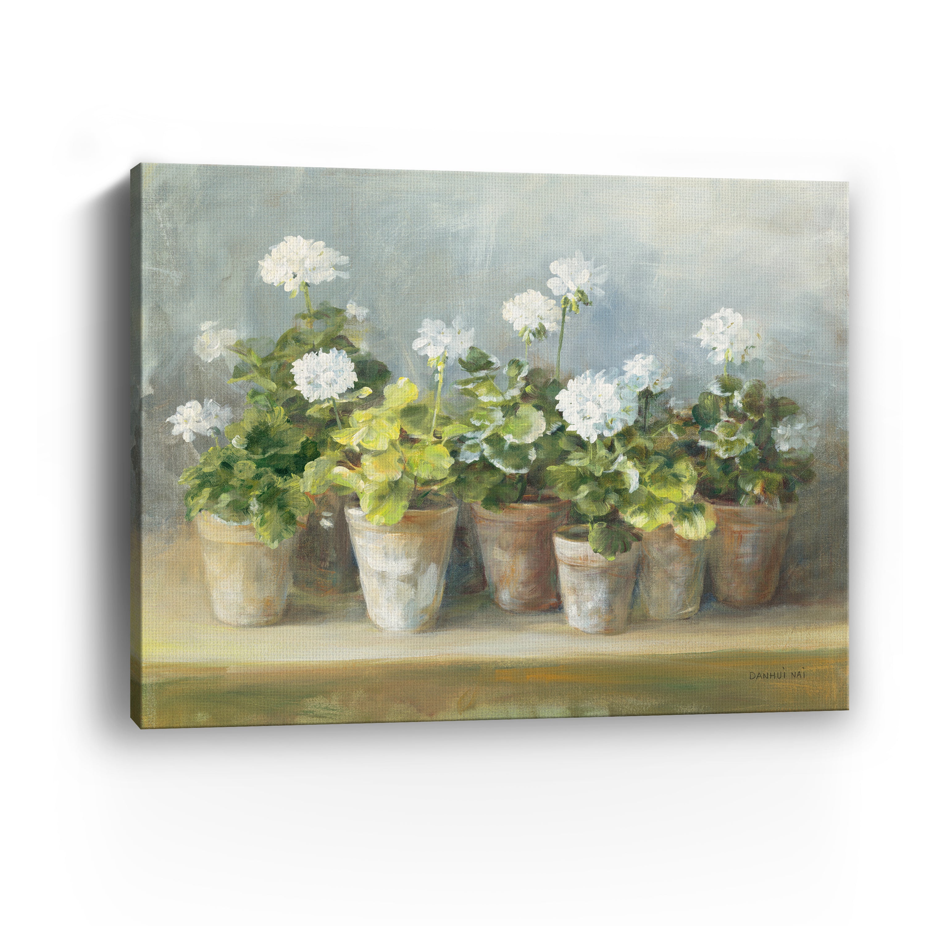 White Geraniums Canvas Giclee