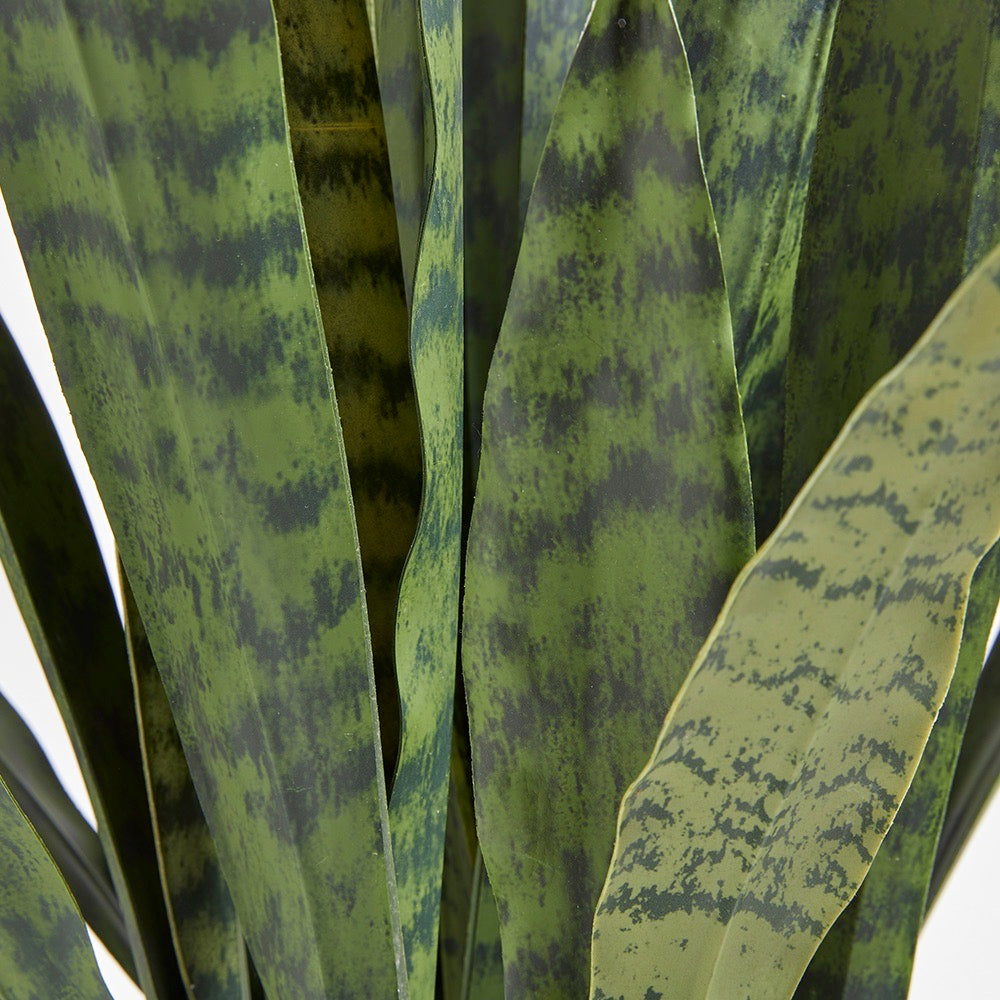 Premium Faux Snake Plant leaf closeup of the natural variety and texture of the leaves which look lifelike
