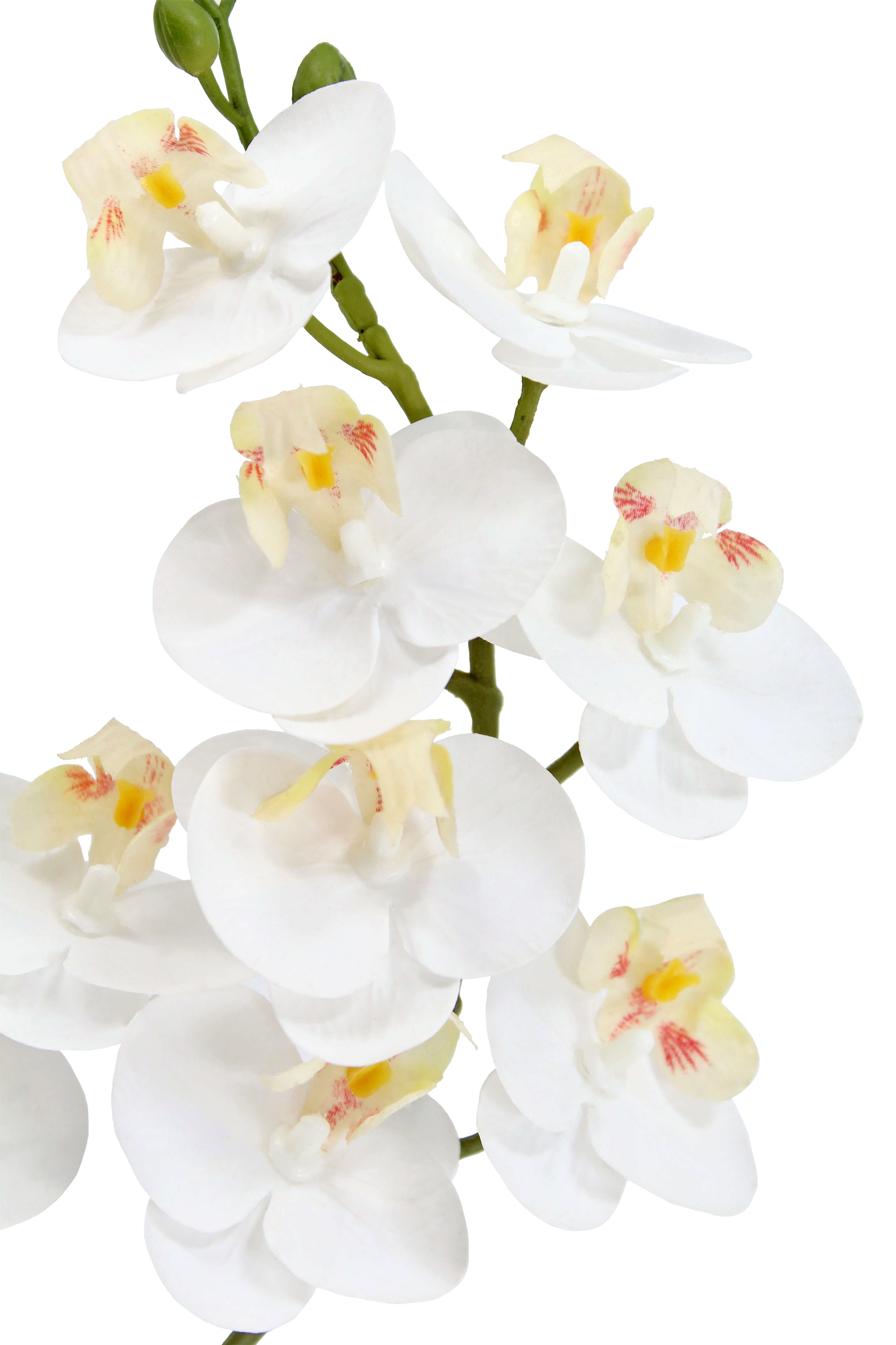 Faux Potted Phalaenopsis Orchid, 24 in
