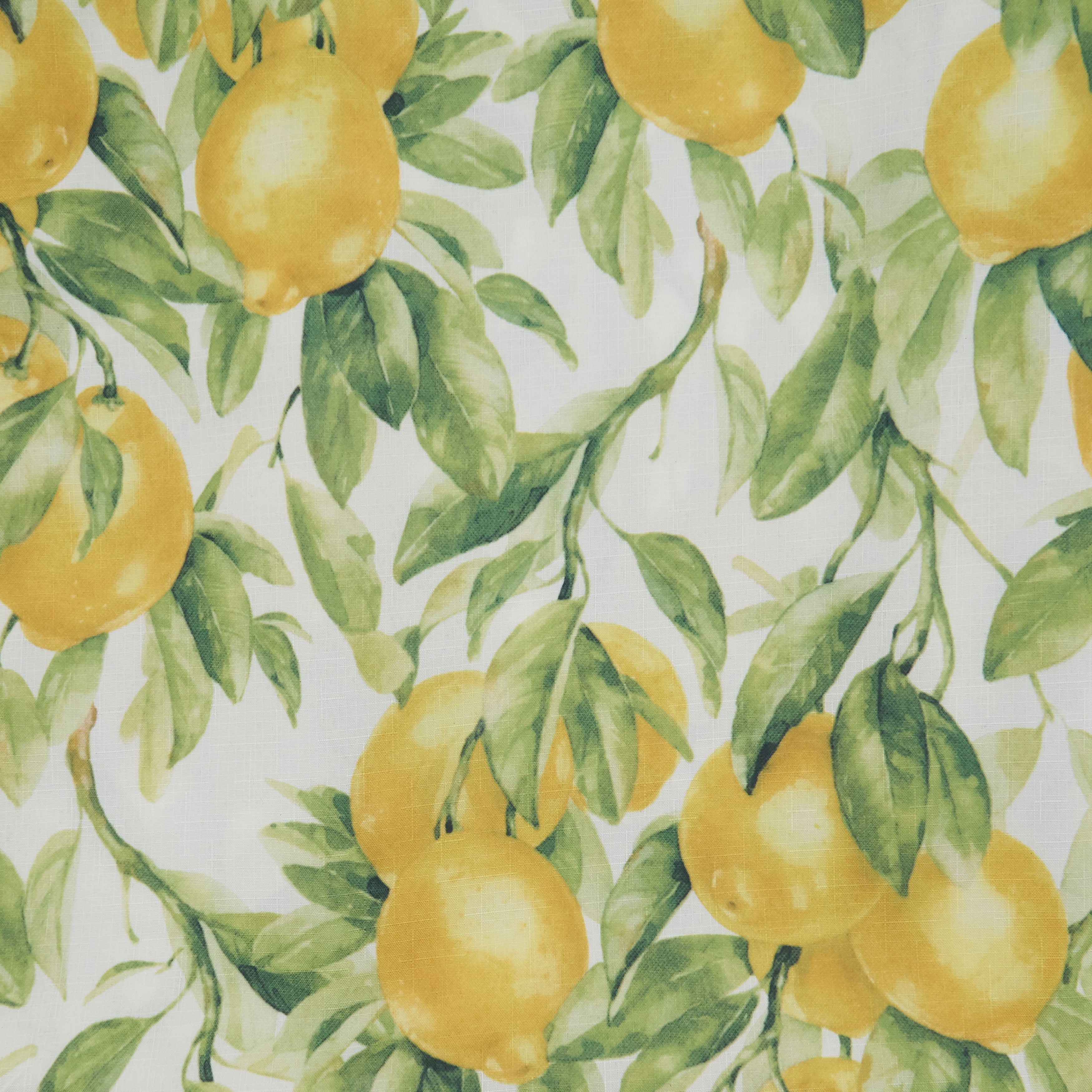 Printed Lemon Placemat, Set of 4