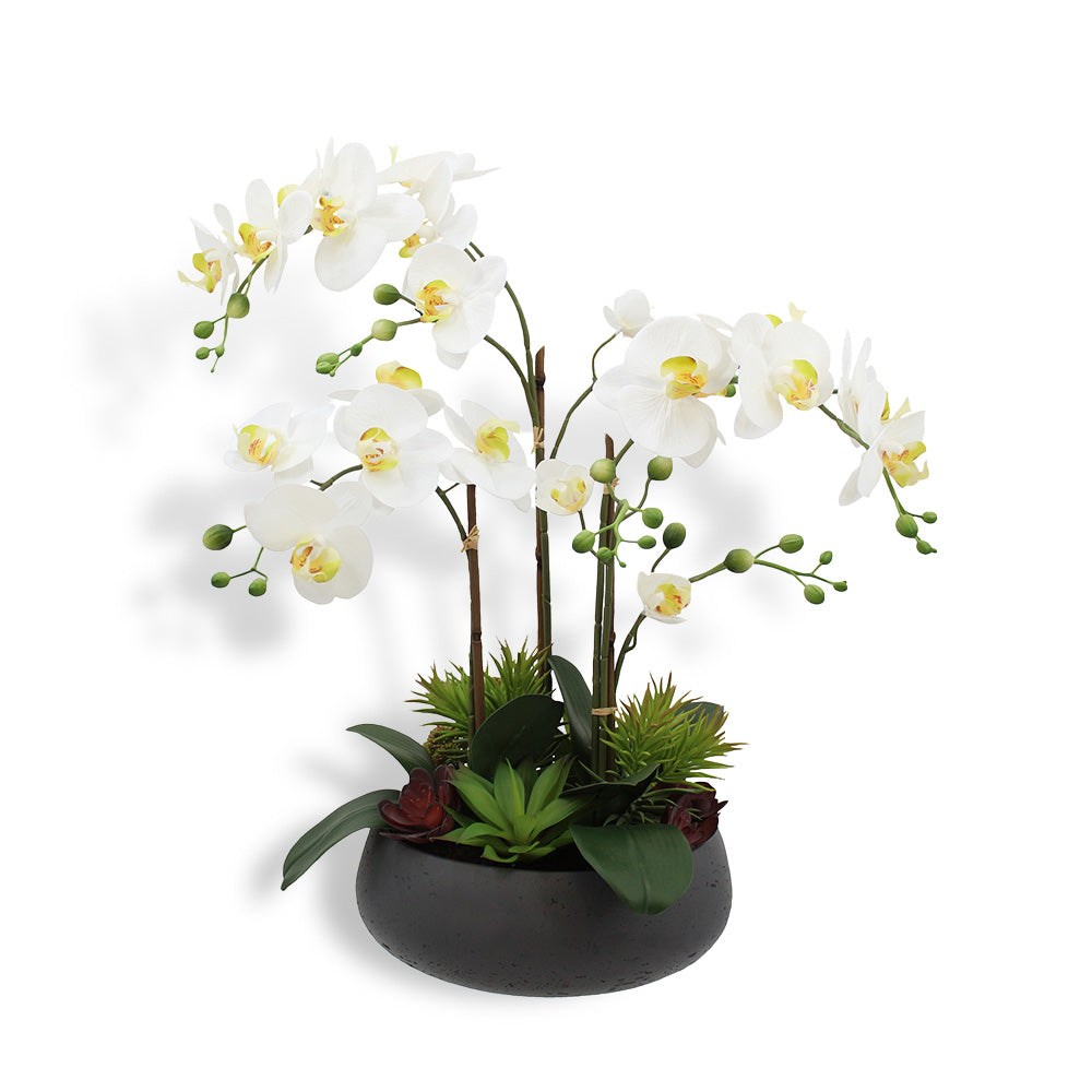Faux Potted Orchid Plant with Succulents Arrangement in White, 24 in