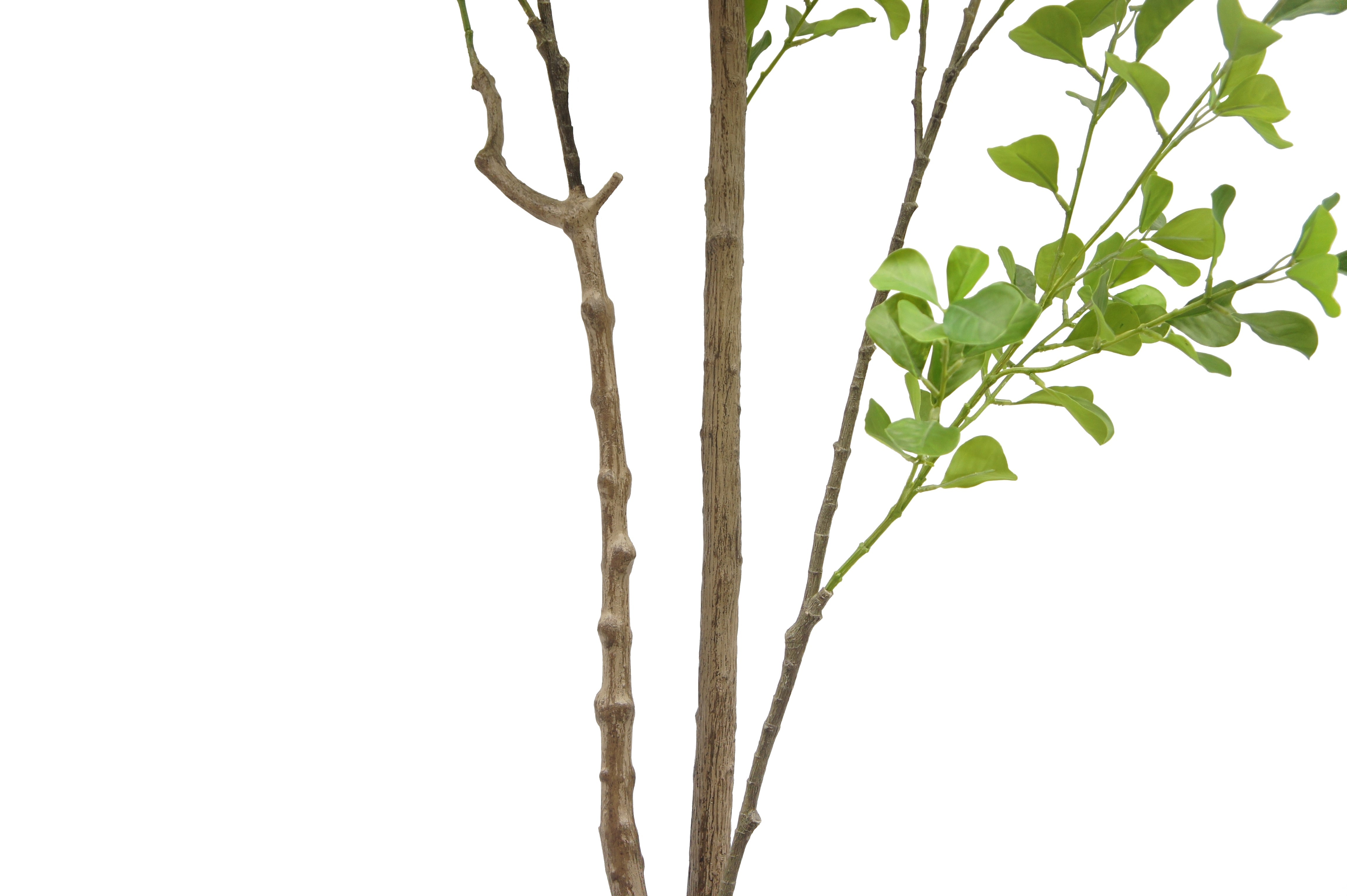 Faux Heart Leaf Ficus Tree, 7 ft