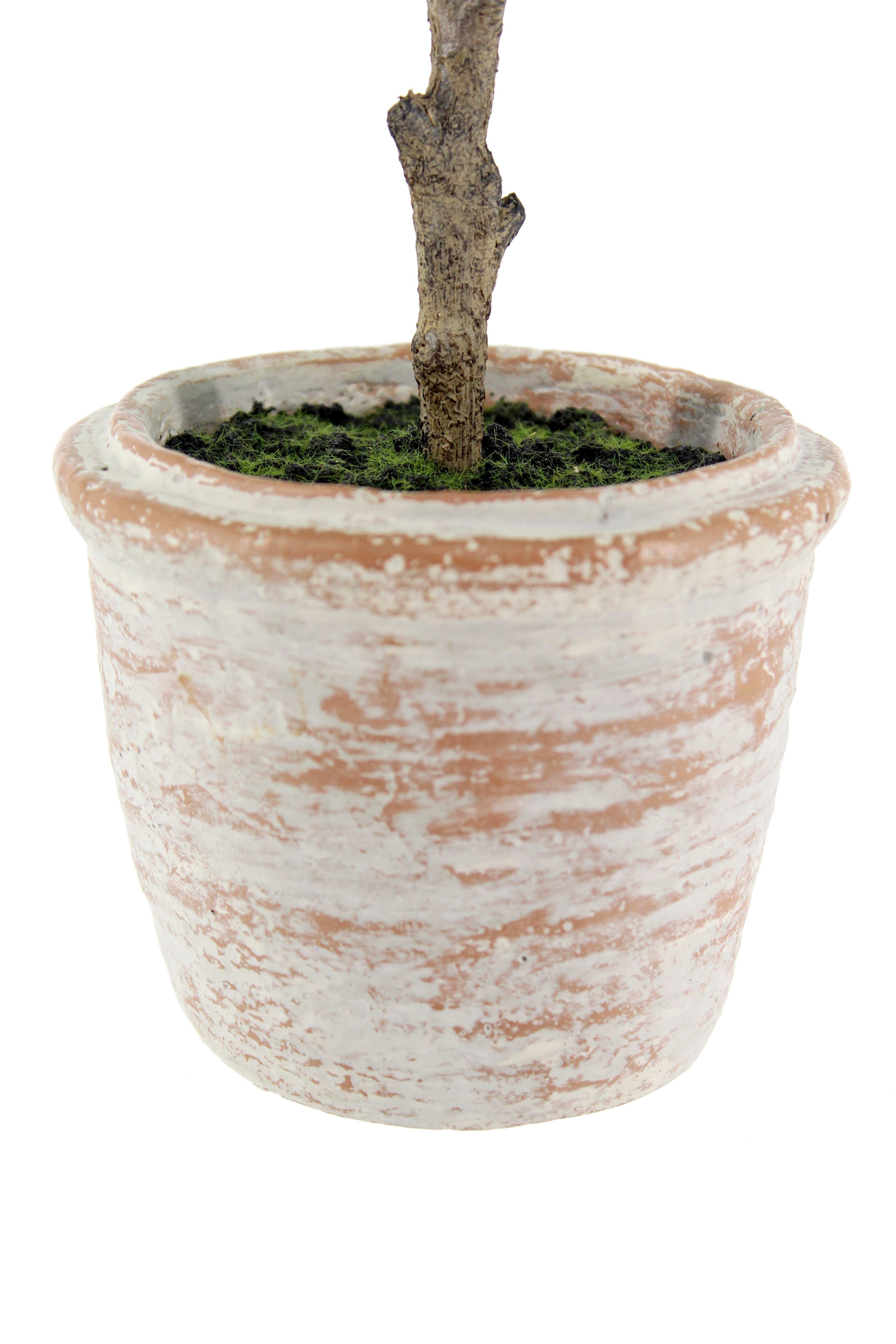 Faux 10 in Eucalyptus and 16 in Citrus Topiary Set