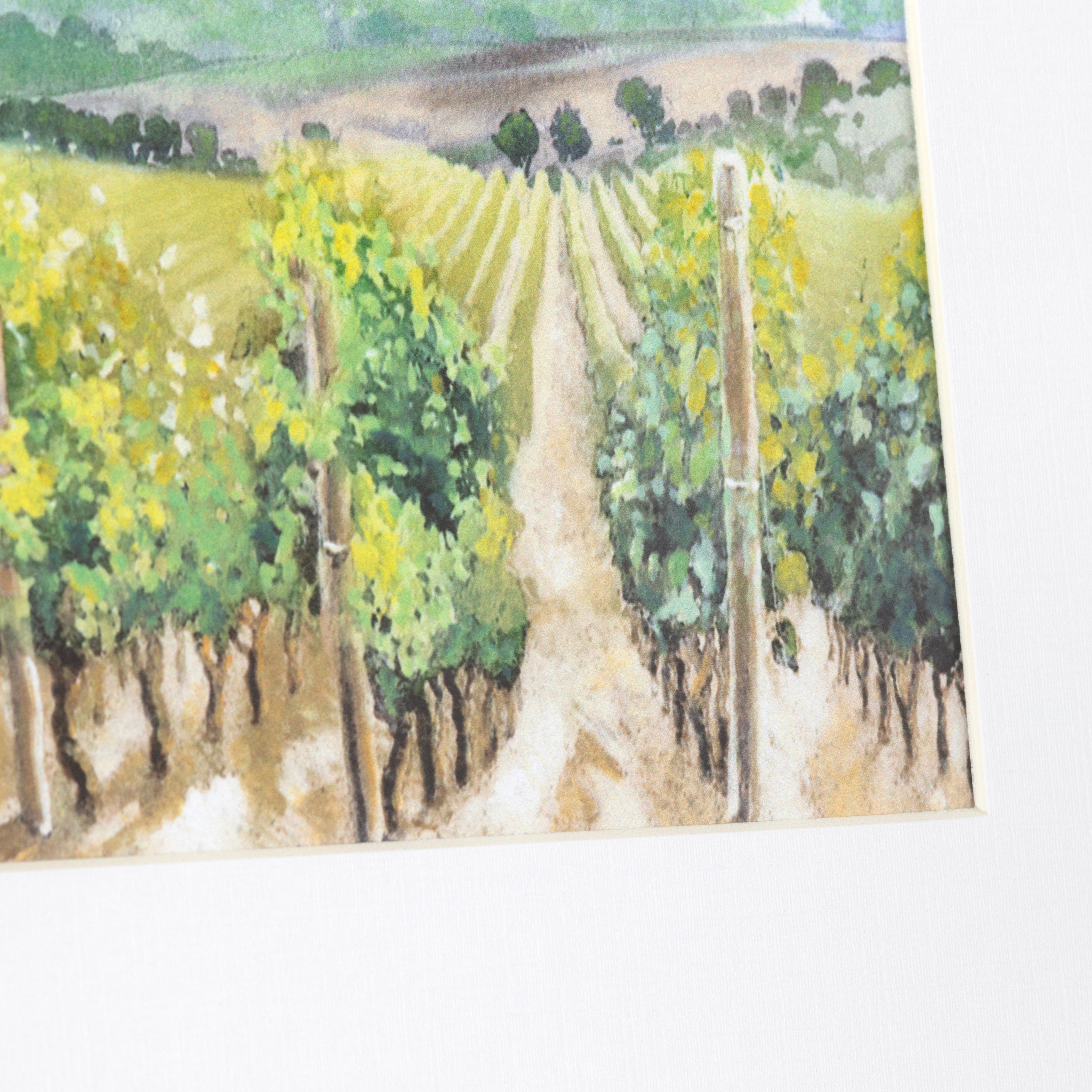 Vineyards 4 Mini Prints Under Glass