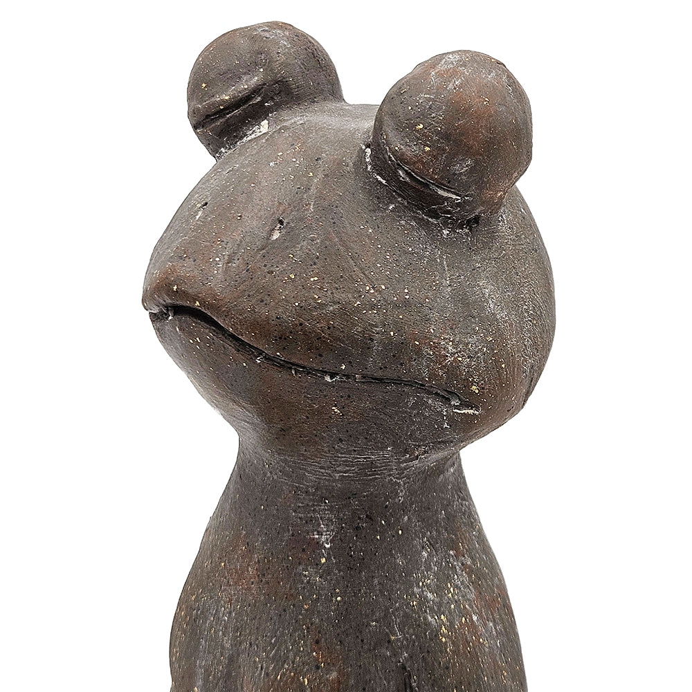 Yoga Frog in Lotus Pose