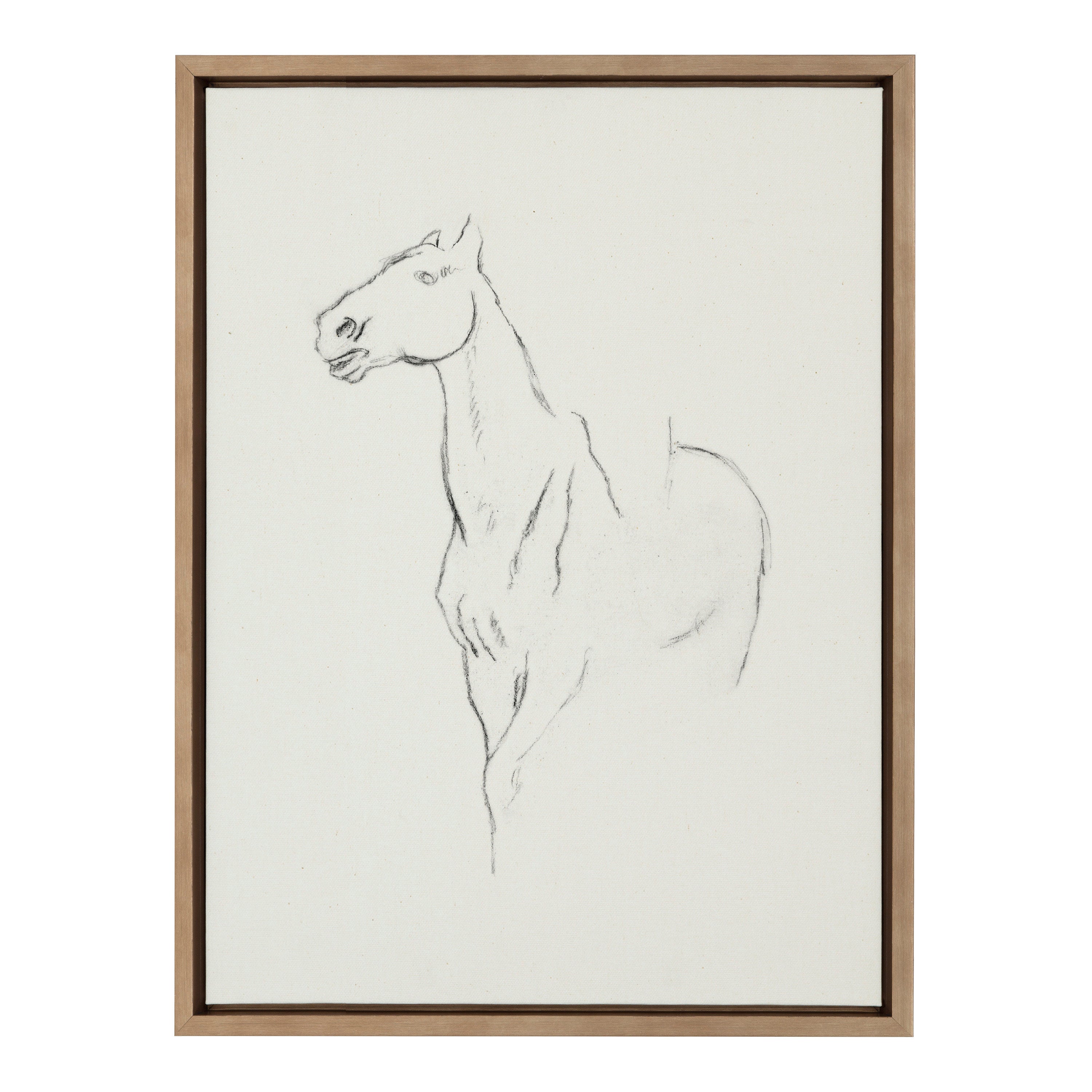 Sylvie Edgar Degas Horse Turned Three Quarters 1880 BW Framed Canvas by The Art Institute of Chicago
