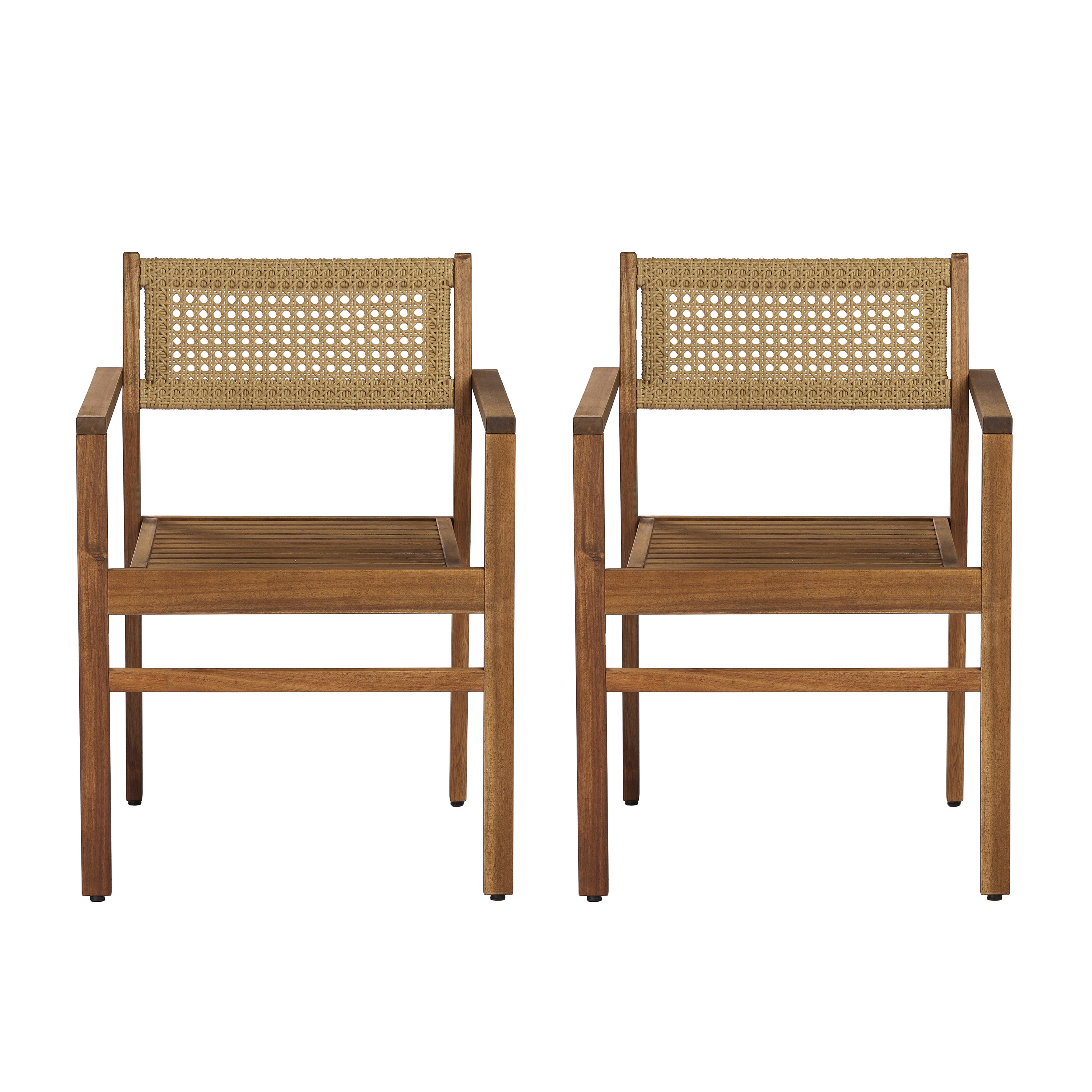 Dining Chair (Set of 2)