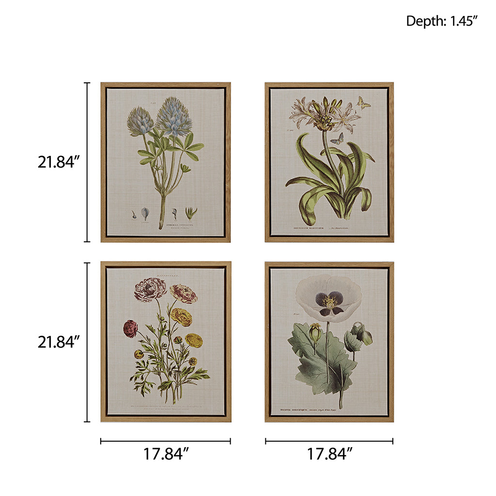 4-piece Botanical Illustration Framed Canvas Wall Art Set