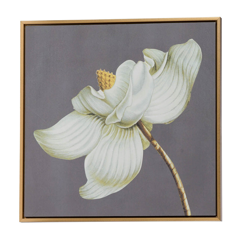 White and Gold Botanical Wall Art Prints