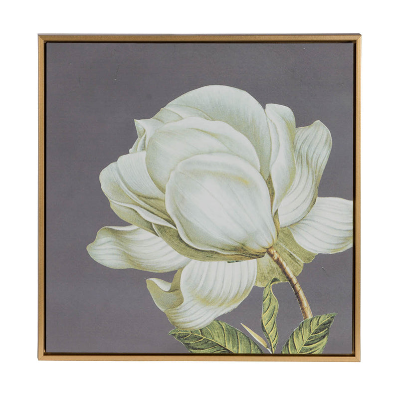 White and Gold Botanical Wall Art Prints