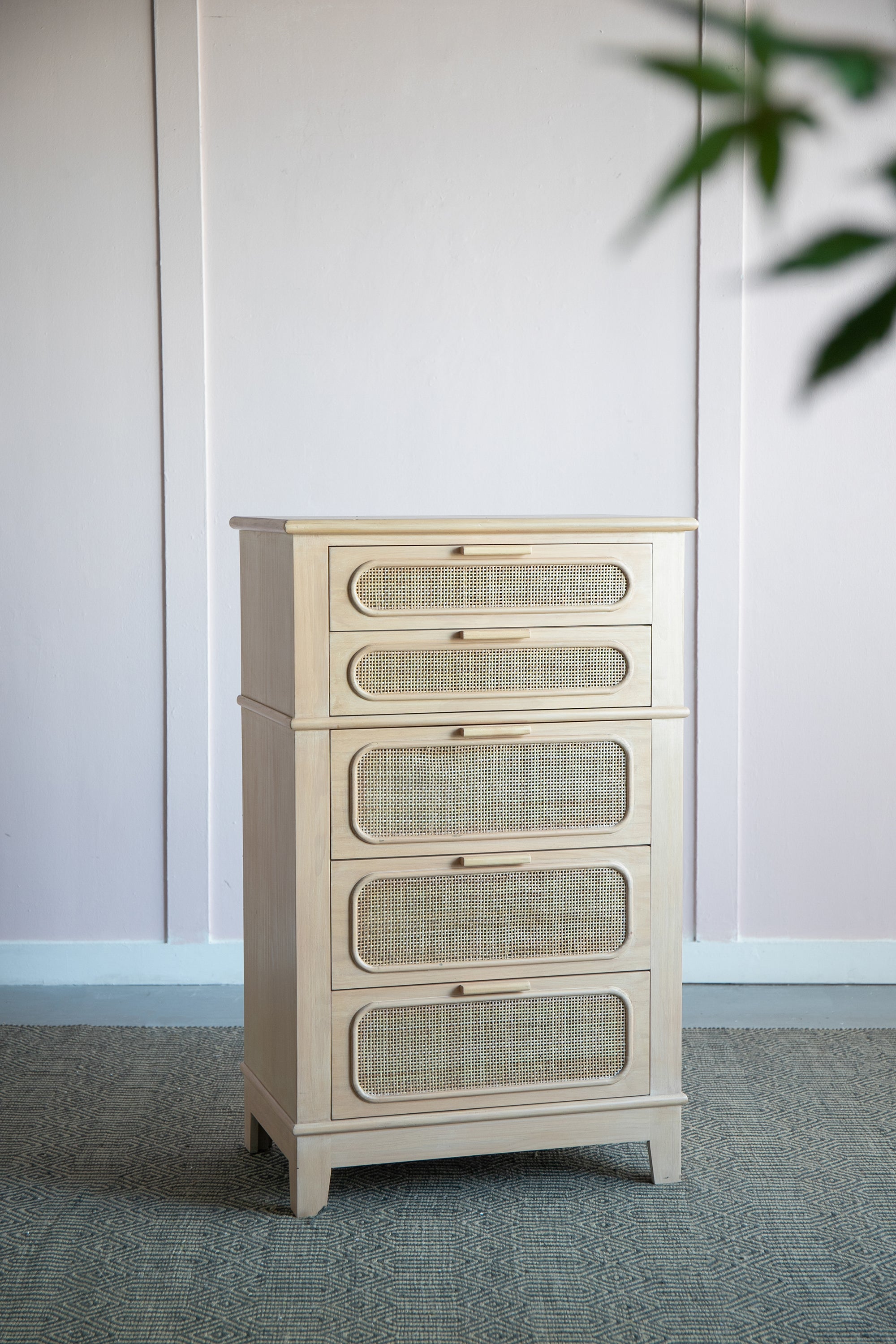 Stanislaw Tall Chest