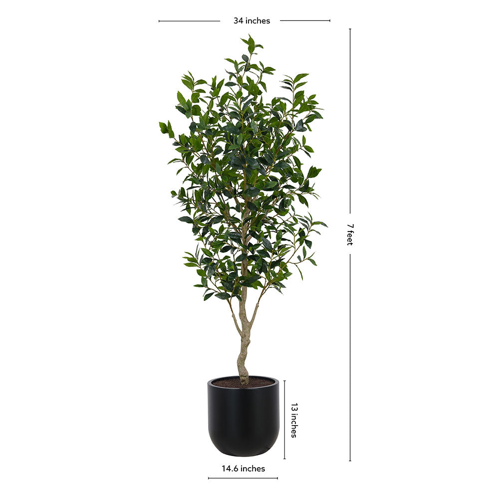 Faux Potted Laurel Tree, 7 ft