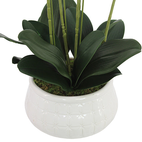 23" Faux Orchid Arrangement in Purple - Lifelike Phalaenopsis in White Ceramic Pot