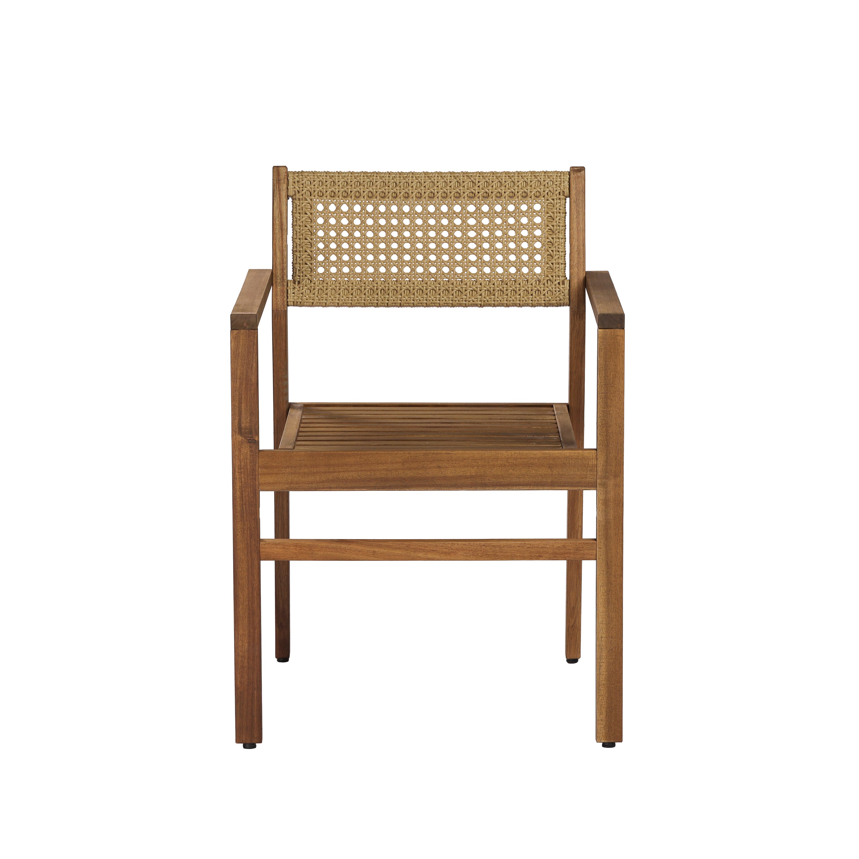 Dining Chair (Set of 2)