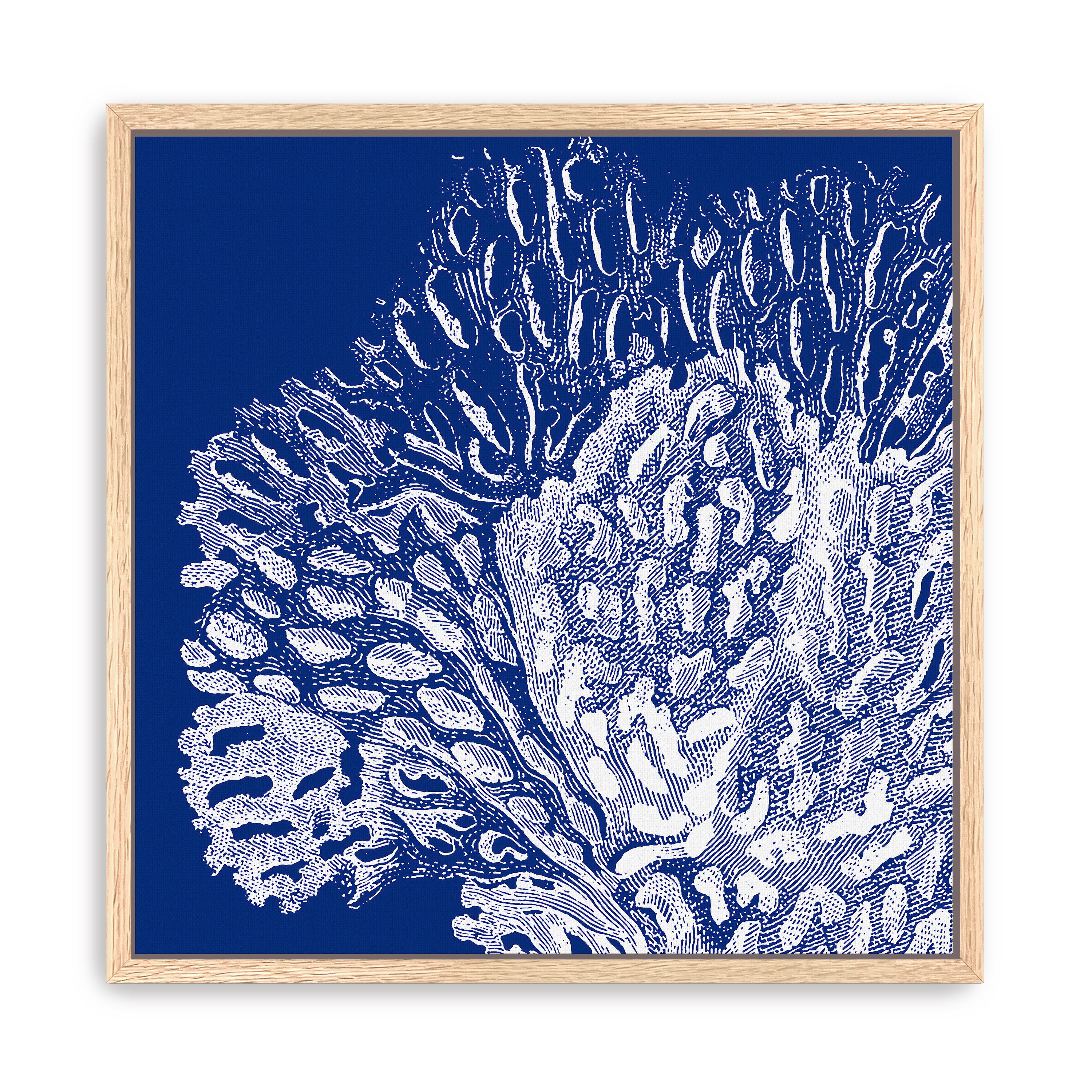 Saturated Coral III Canvas Giclee