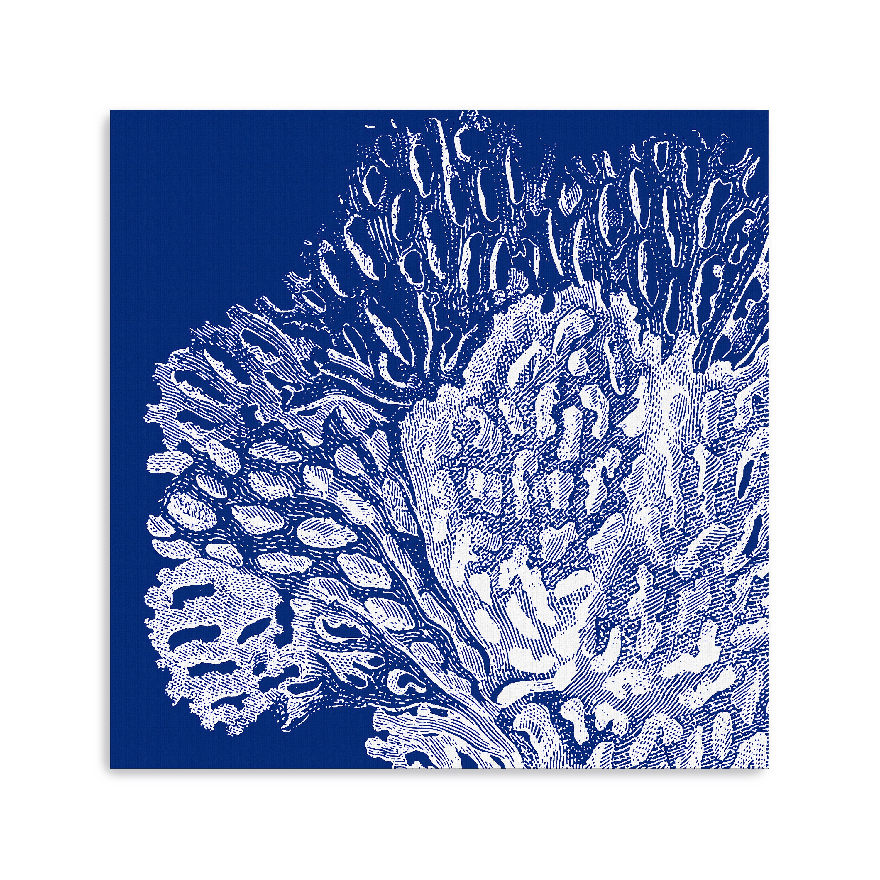 Saturated Coral III Canvas Giclee