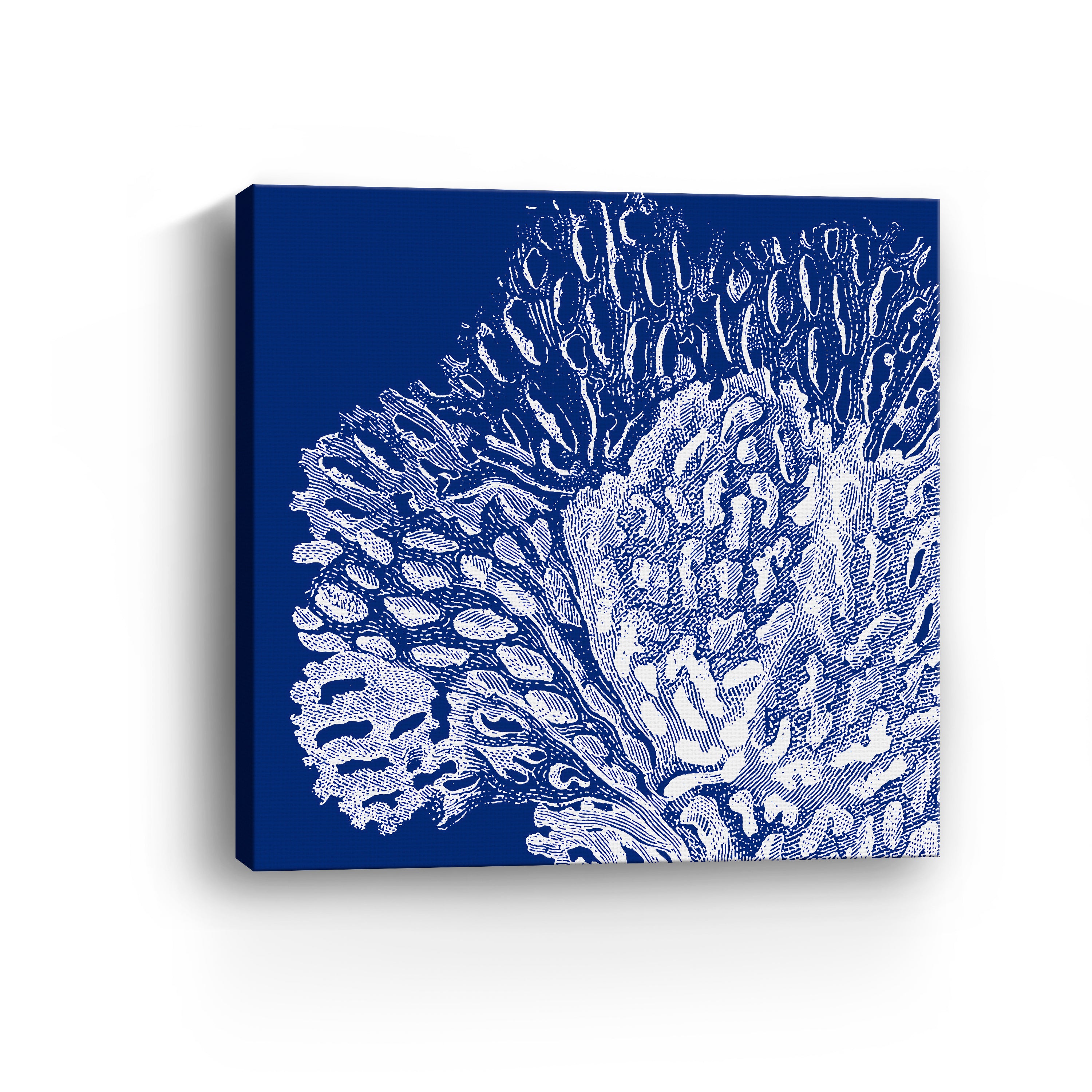 Saturated Coral III Canvas Giclee