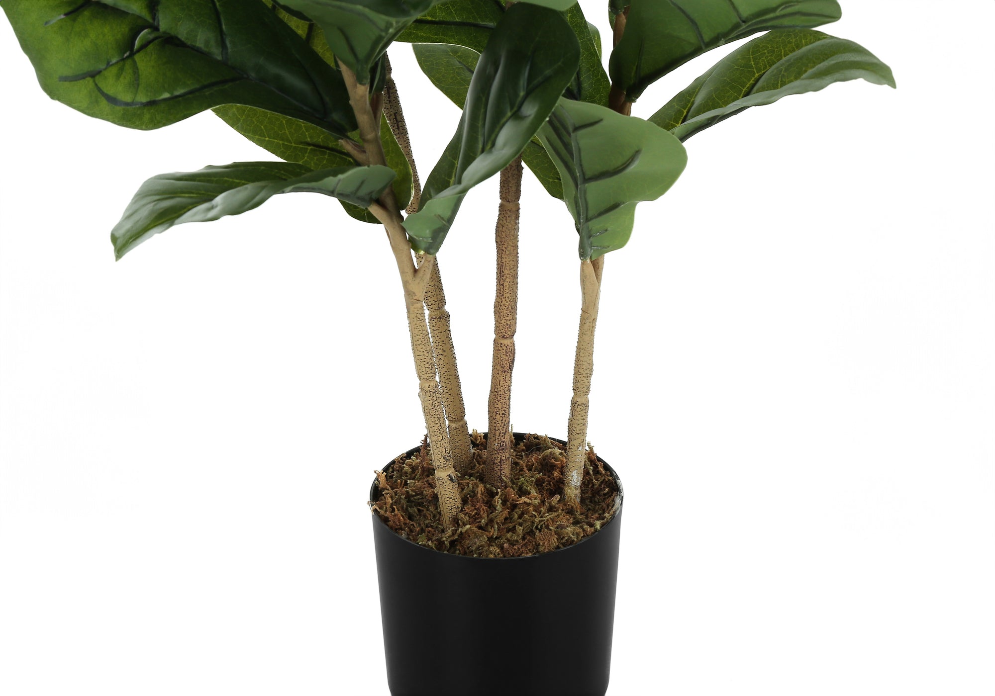 41" Tall Artificial Fiddle Tree with Pot