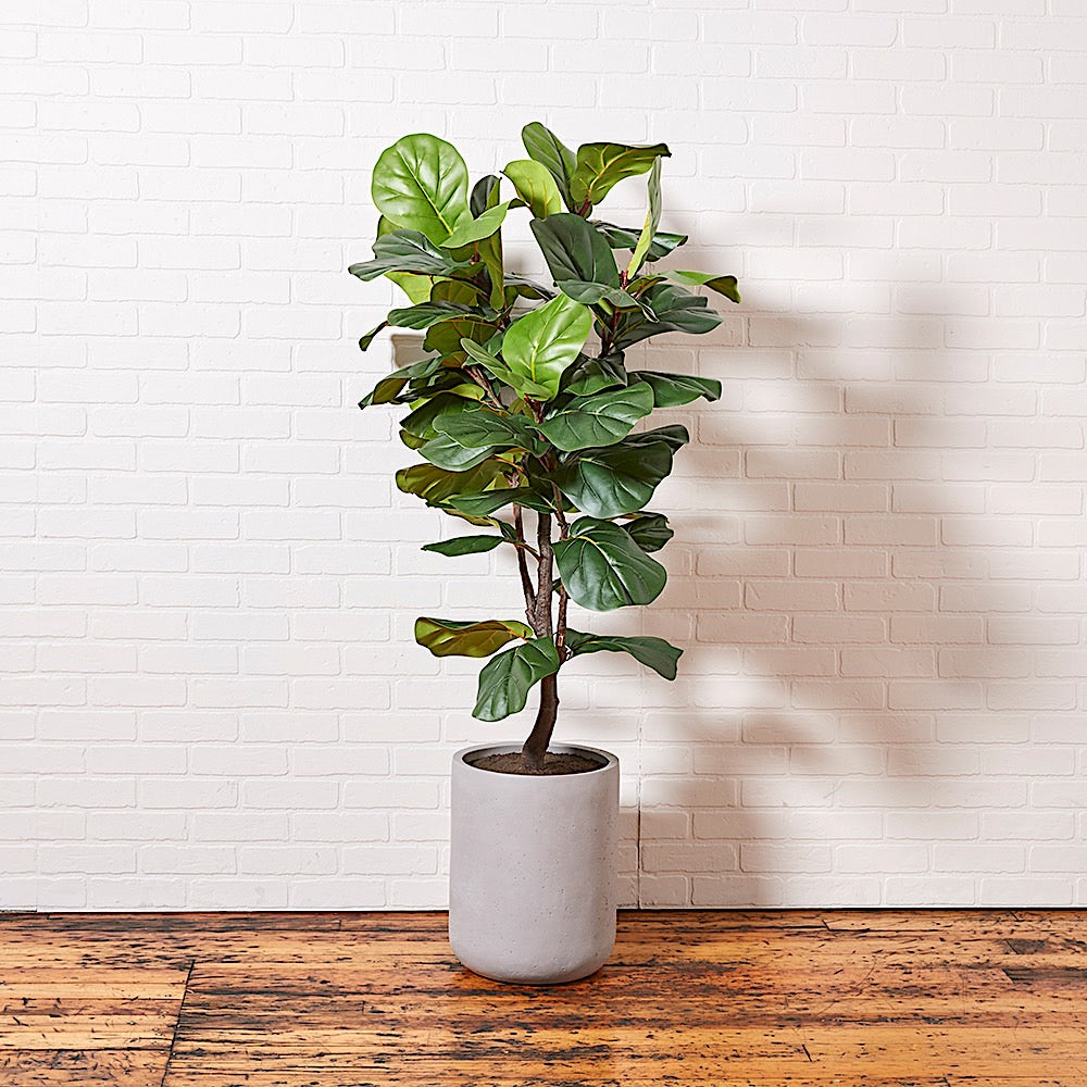 Faux Fiddle Leaf Fig Tree - Thumbnail 5