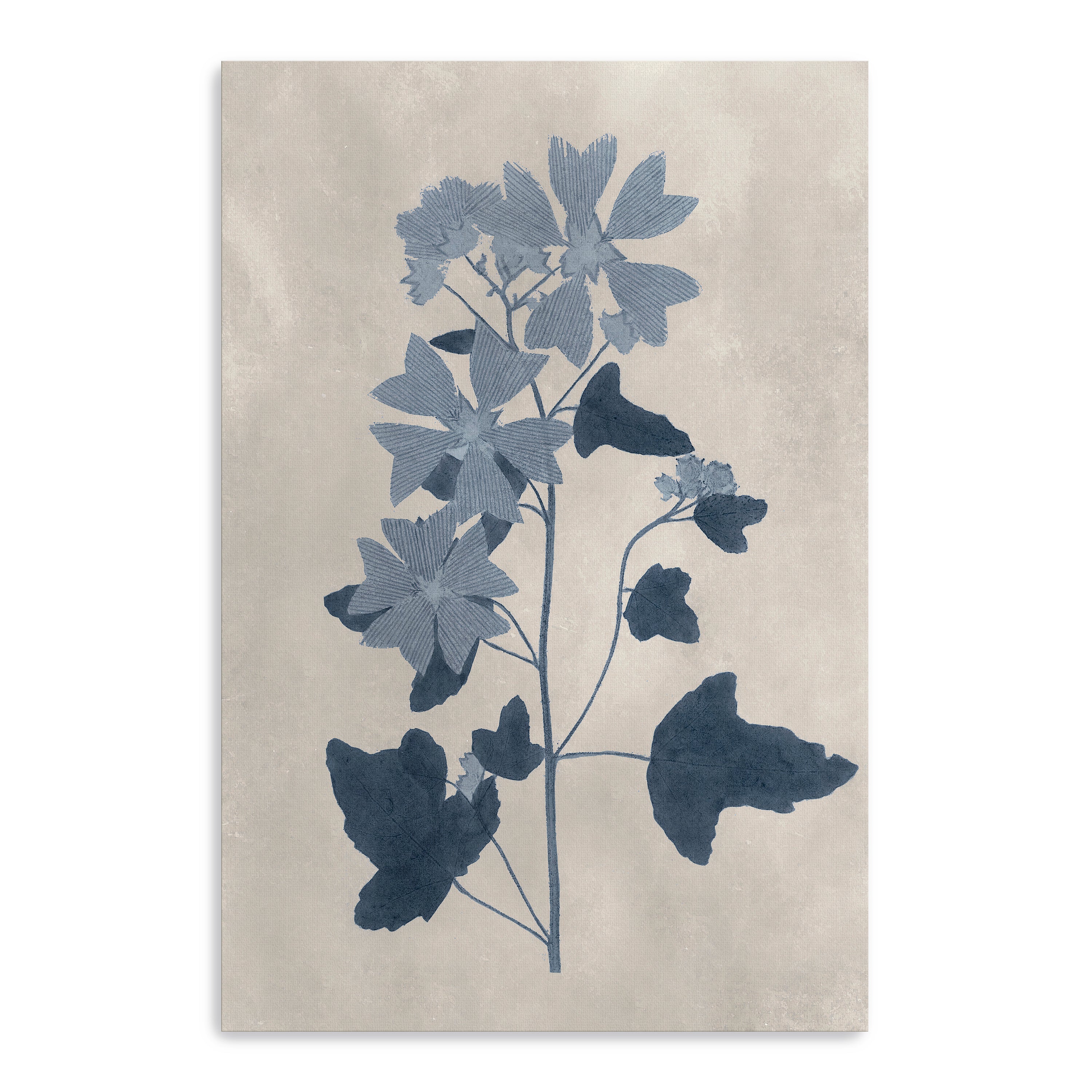 Navy Pressed Flowers VII Canvas Giclee
