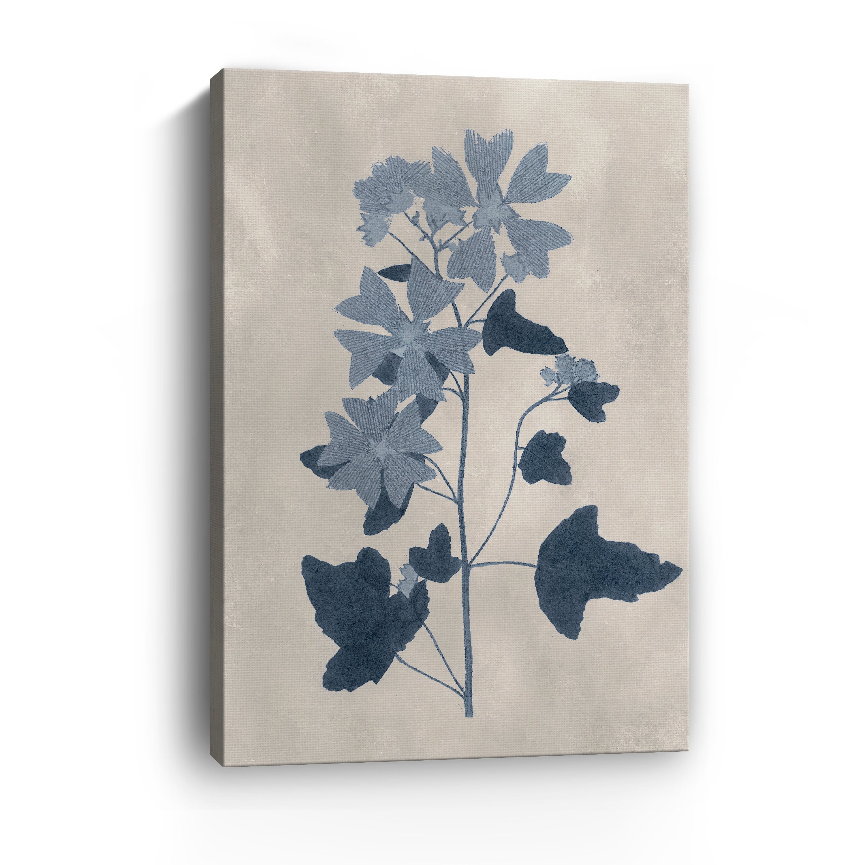 Navy Pressed Flowers VII Canvas Giclee