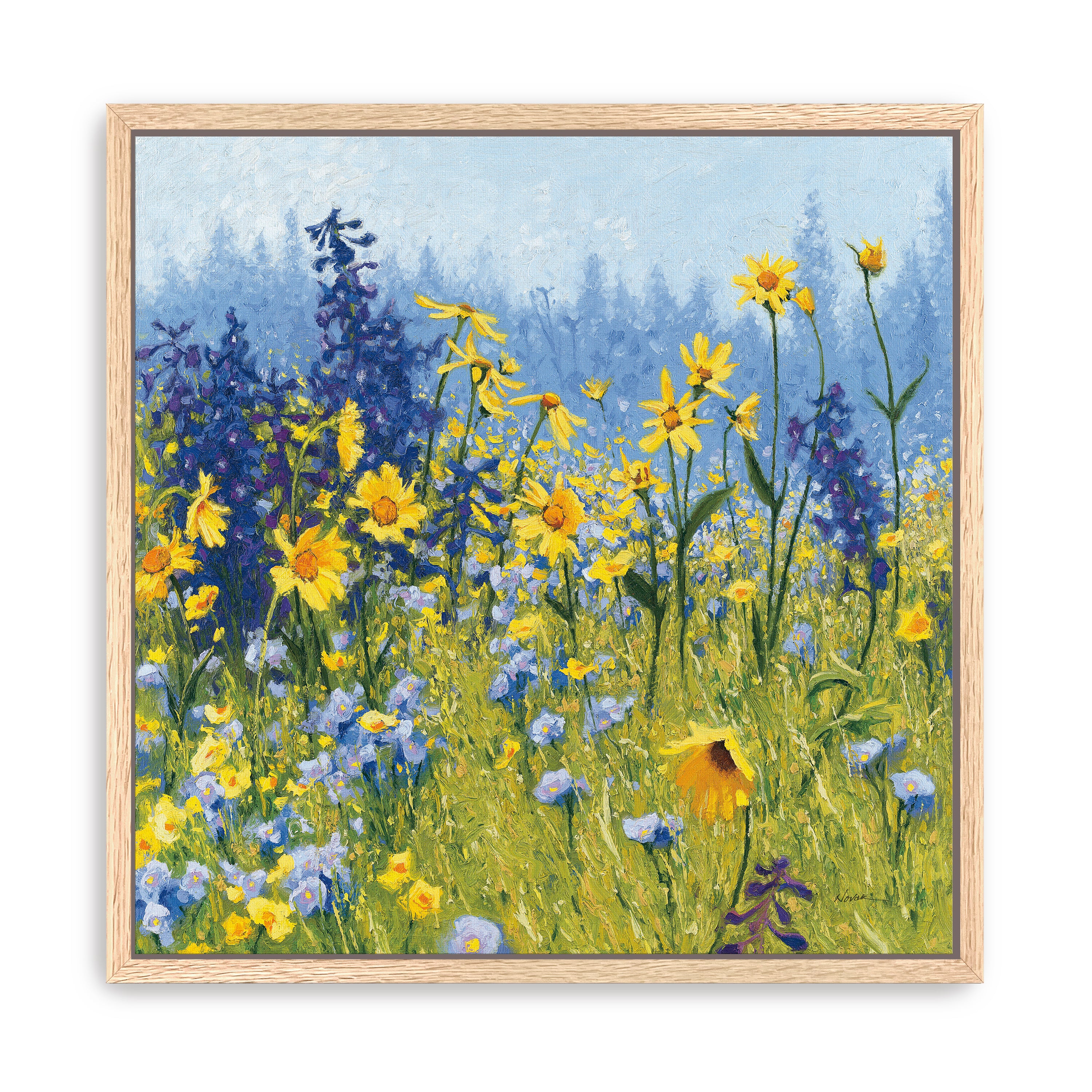 Joyful in July III Canvas Giclee