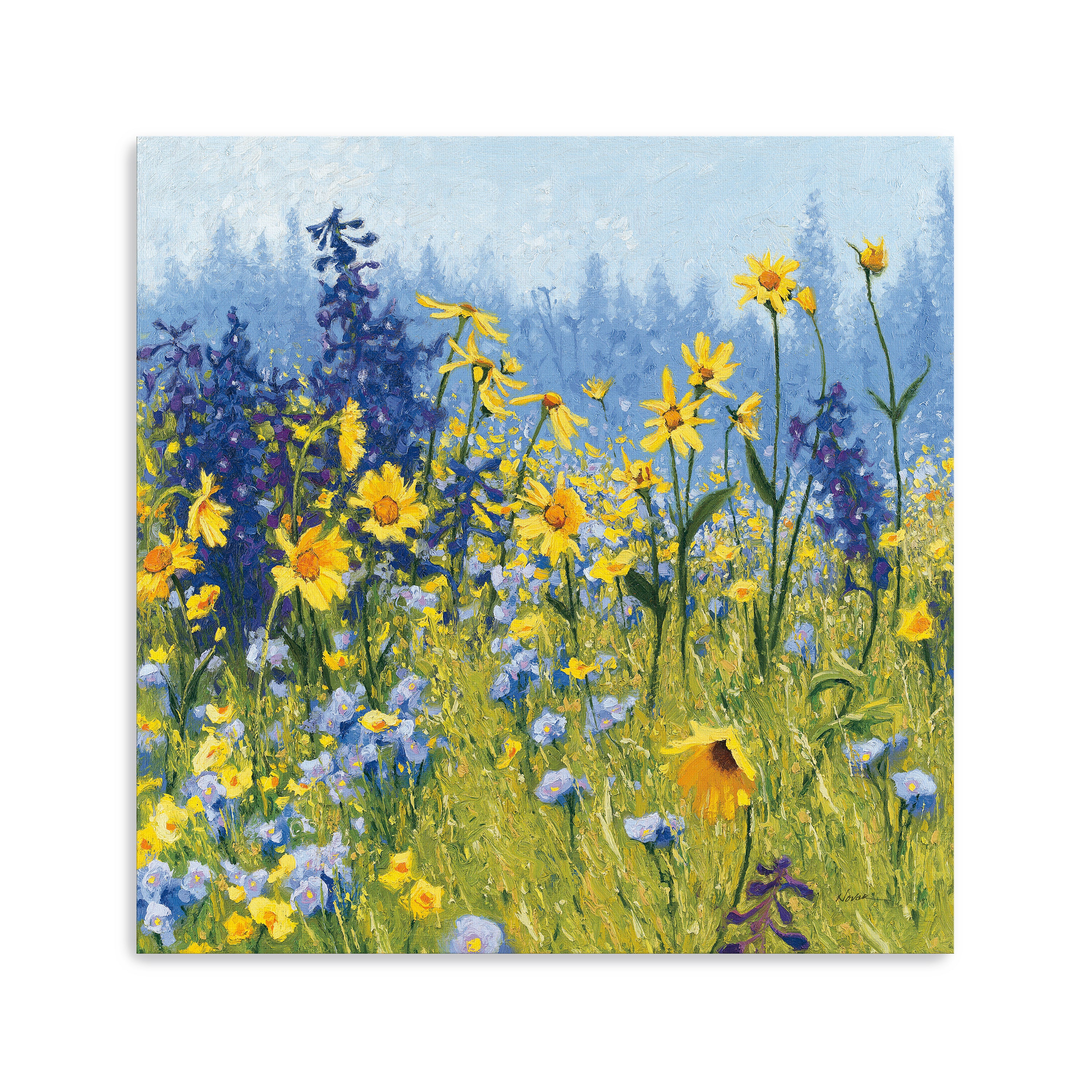 Joyful in July III Canvas Giclee
