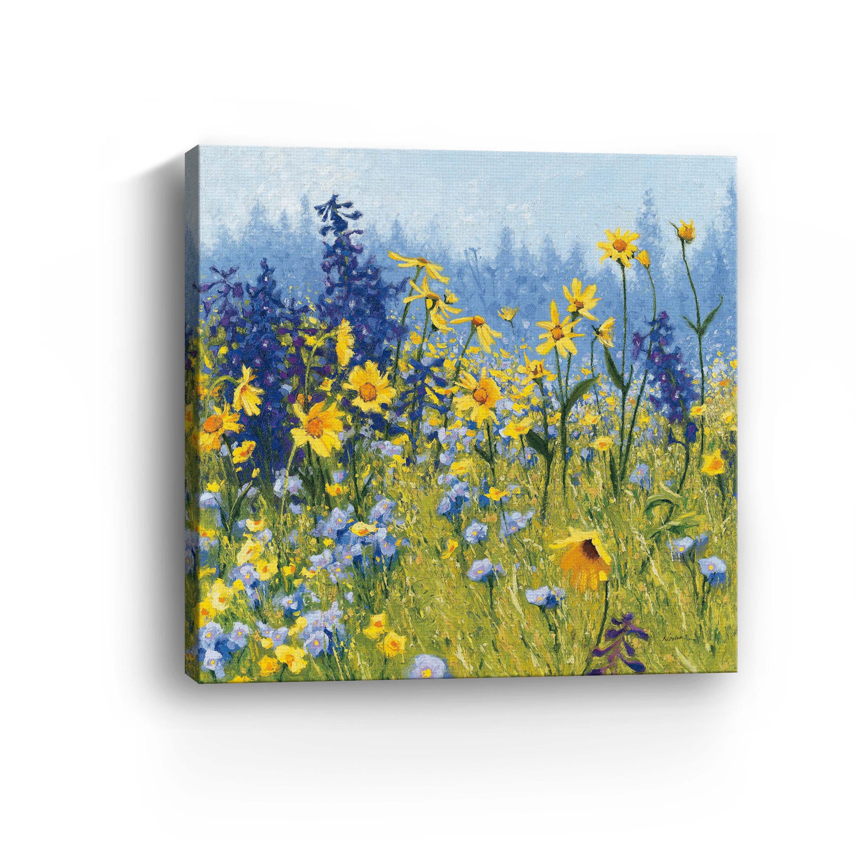 Joyful in July III Canvas Giclee