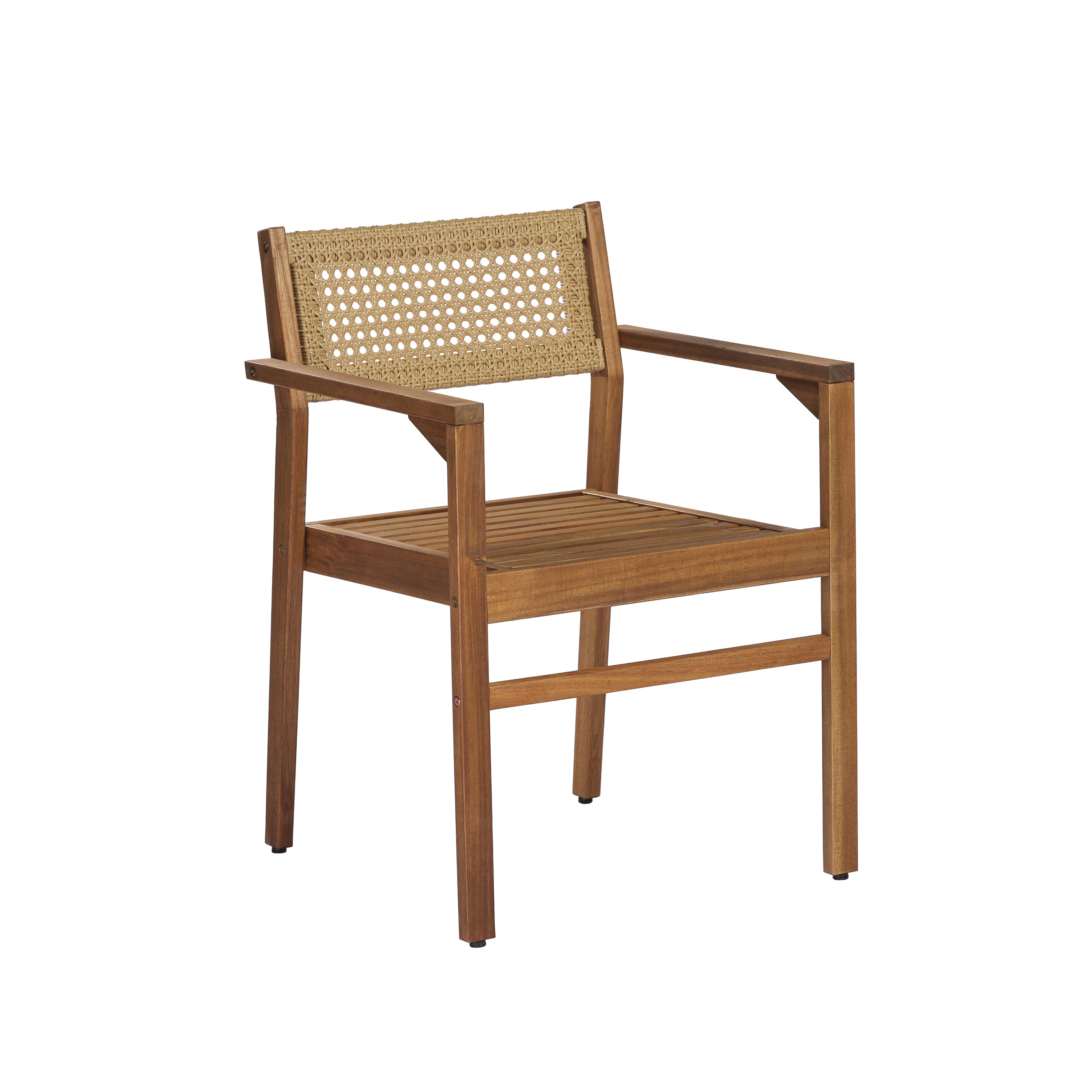 Dining Chair (Set of 2)