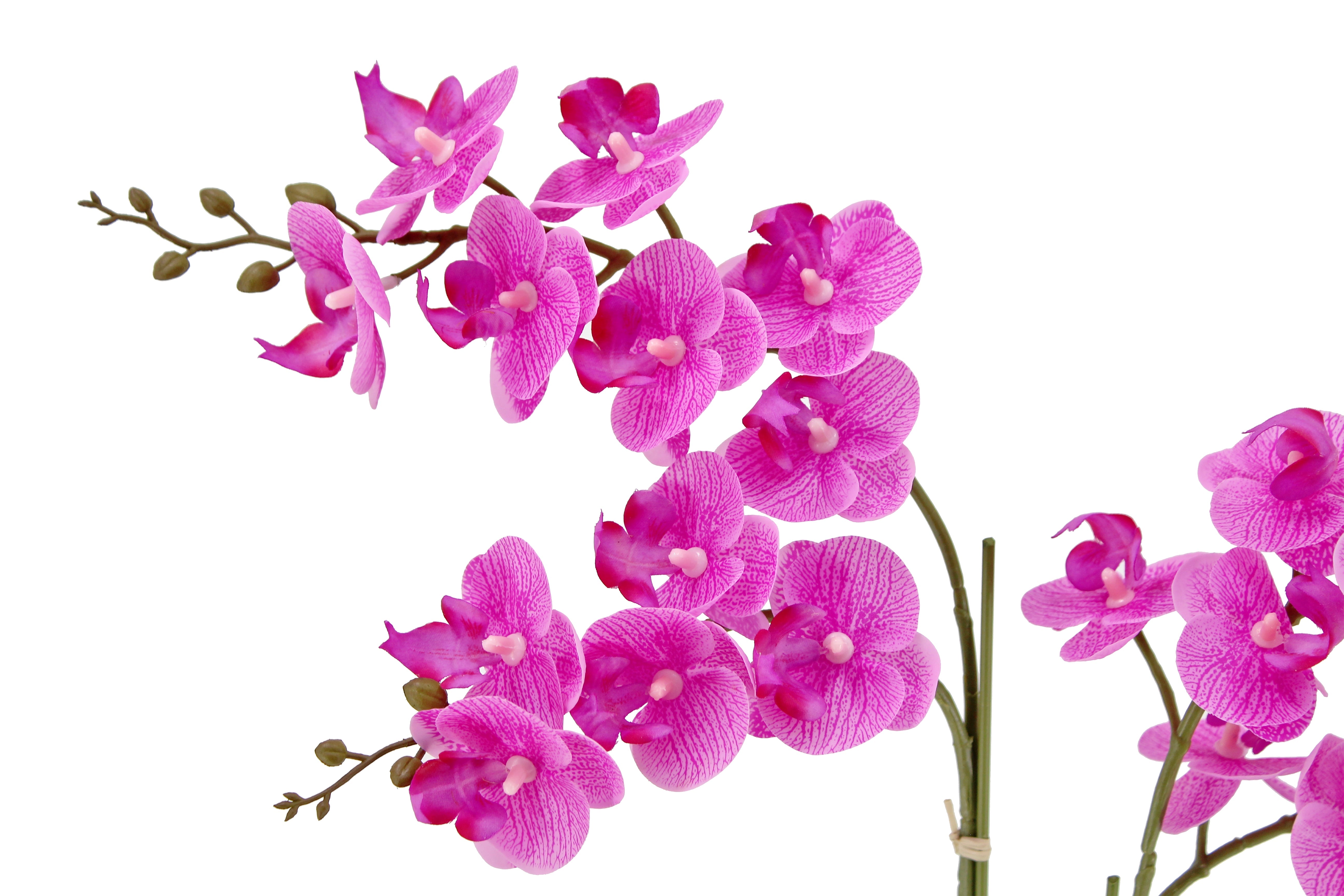Faux Potted Phalaenopsis Orchid, 24 in