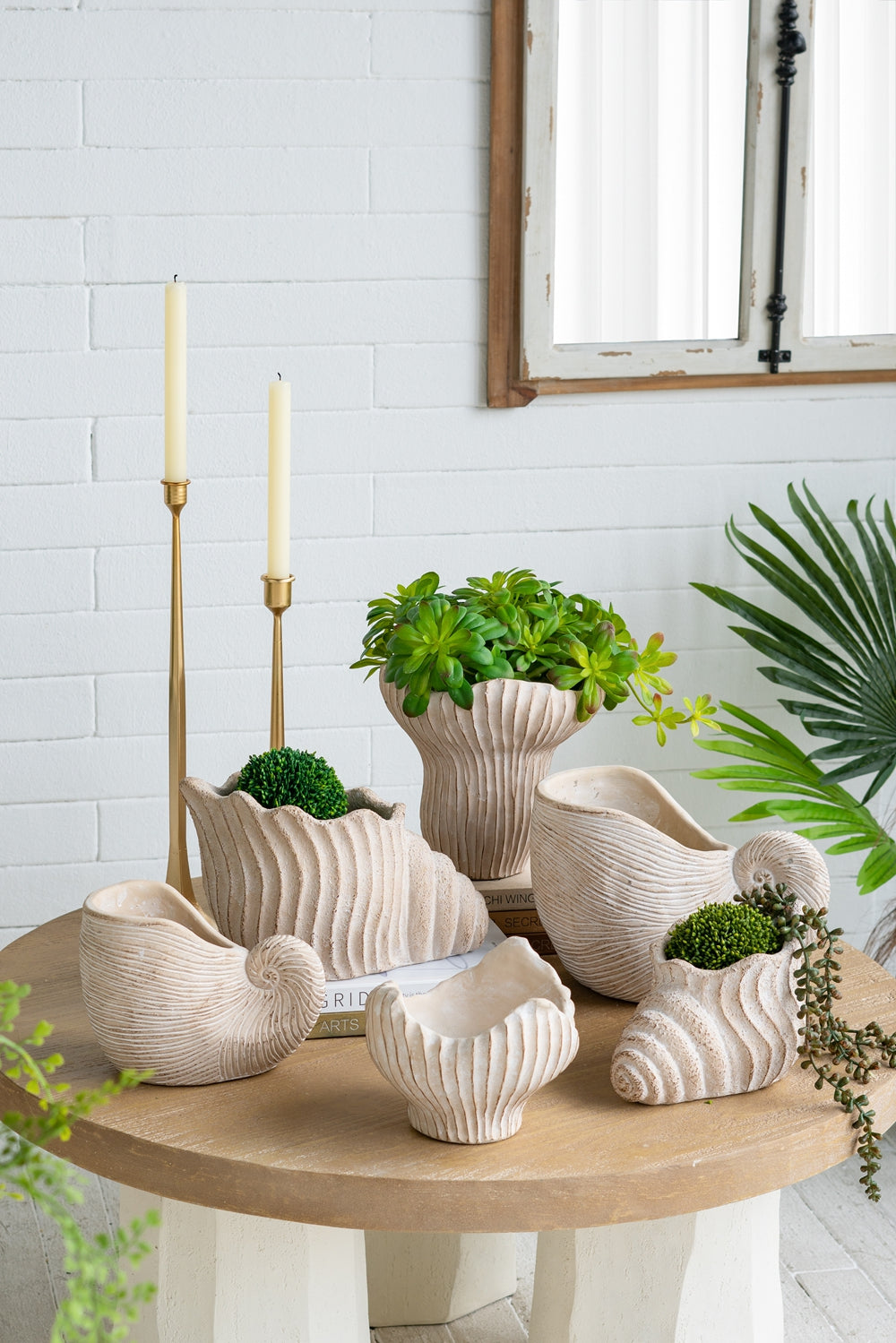 Conch Shell Planter with Textured Finish