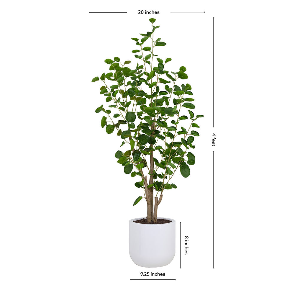 Faux Potted Eucalyptus Tree, 4 ft